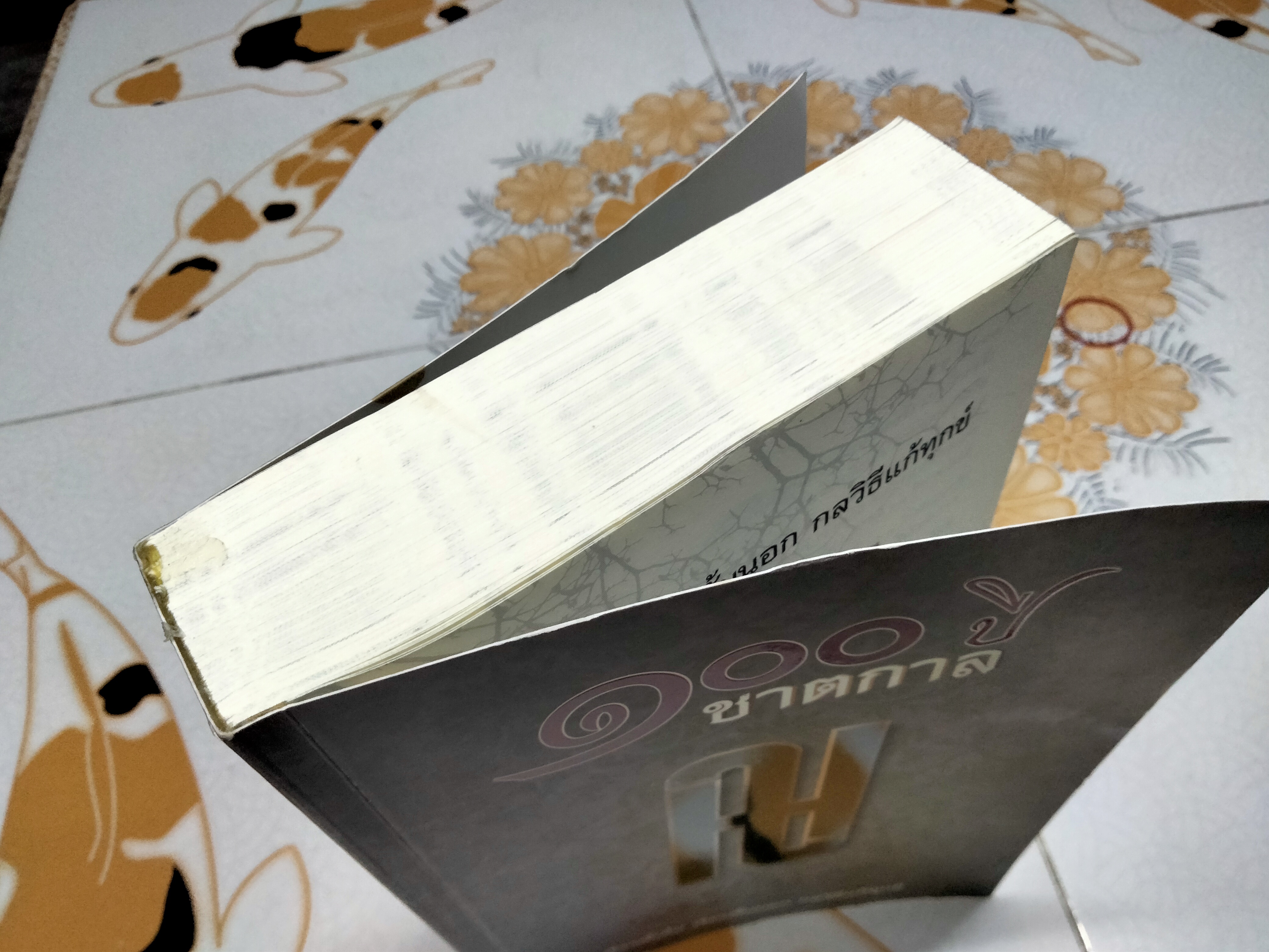 100 ปีชาตกาล พันเอก ปิ่น มุทุกันต์ (เรือนชั้นใน เรือนชั้นนอก กลวิธีแก้ทุกข์) - พิมพ์เป็นอนุสรณ์เนื่องในการบำเพ็ญกุศล **สินค้าหมด**