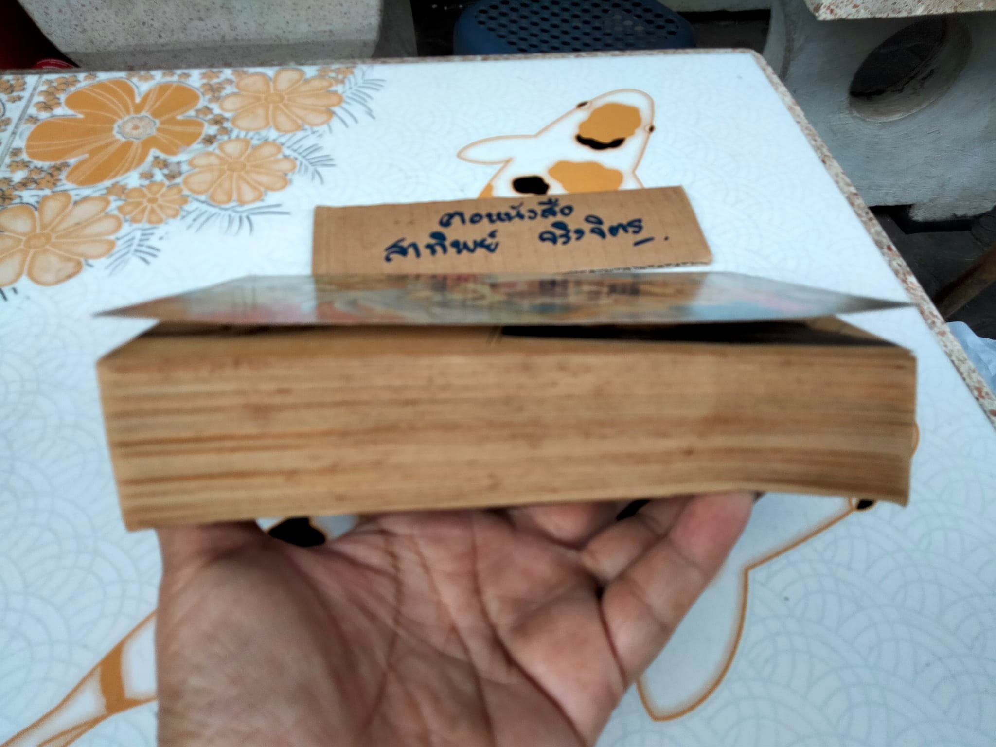 ข้าคือลูกพระอาทิตย์ (เล่มเดียวจบ) สนพ.หมึกจีน