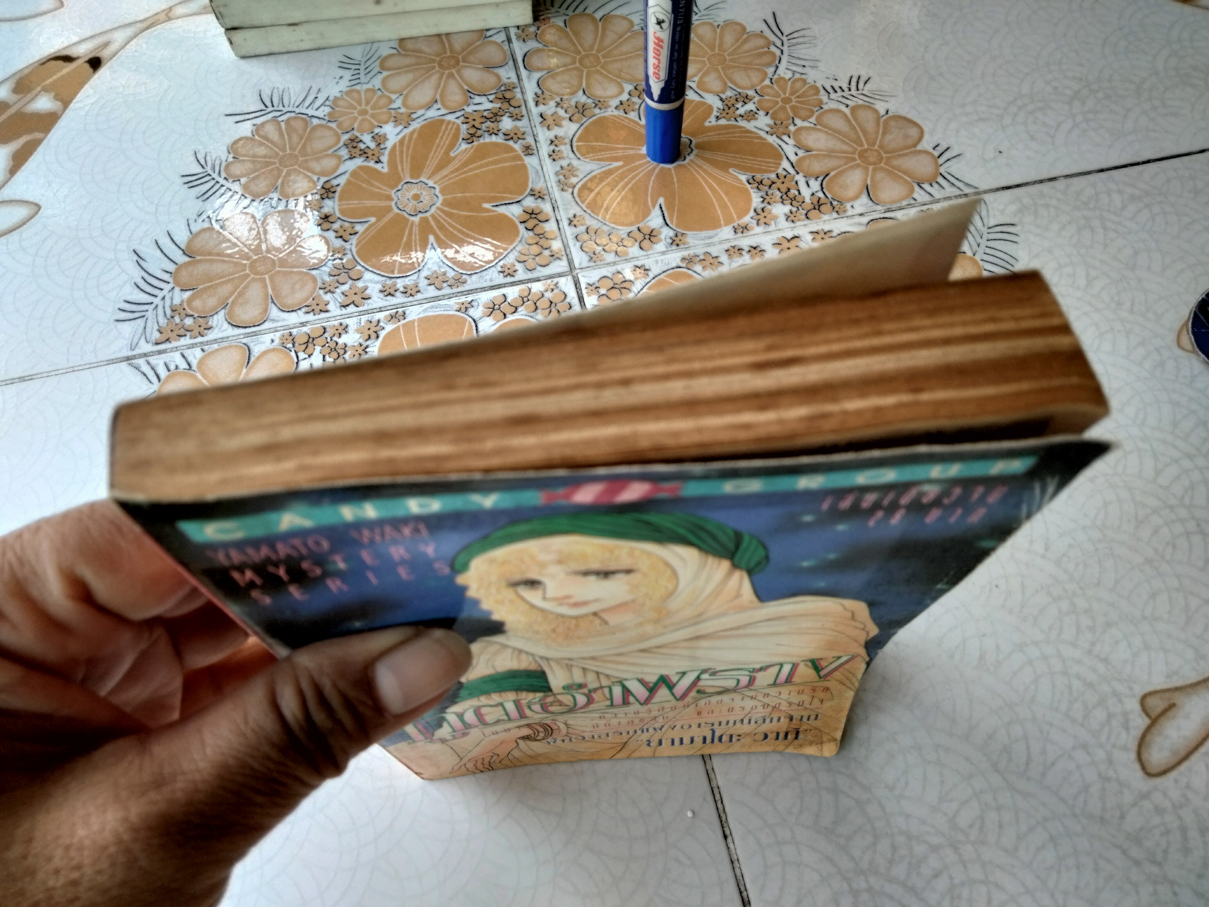 ภูติอำพราง (เล่มเดียวจบ) ยามาโตะ วากิ **สินค้าหมด**