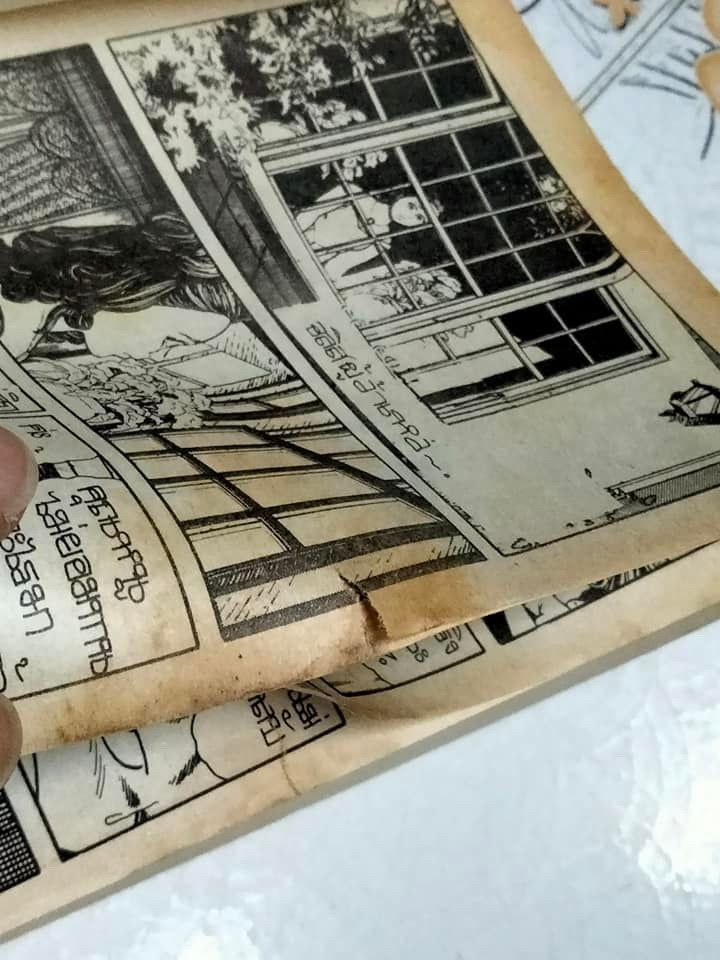 ไมเคิ้ลเหมียว (2 เล่มจบ) **สินค้าหมด**