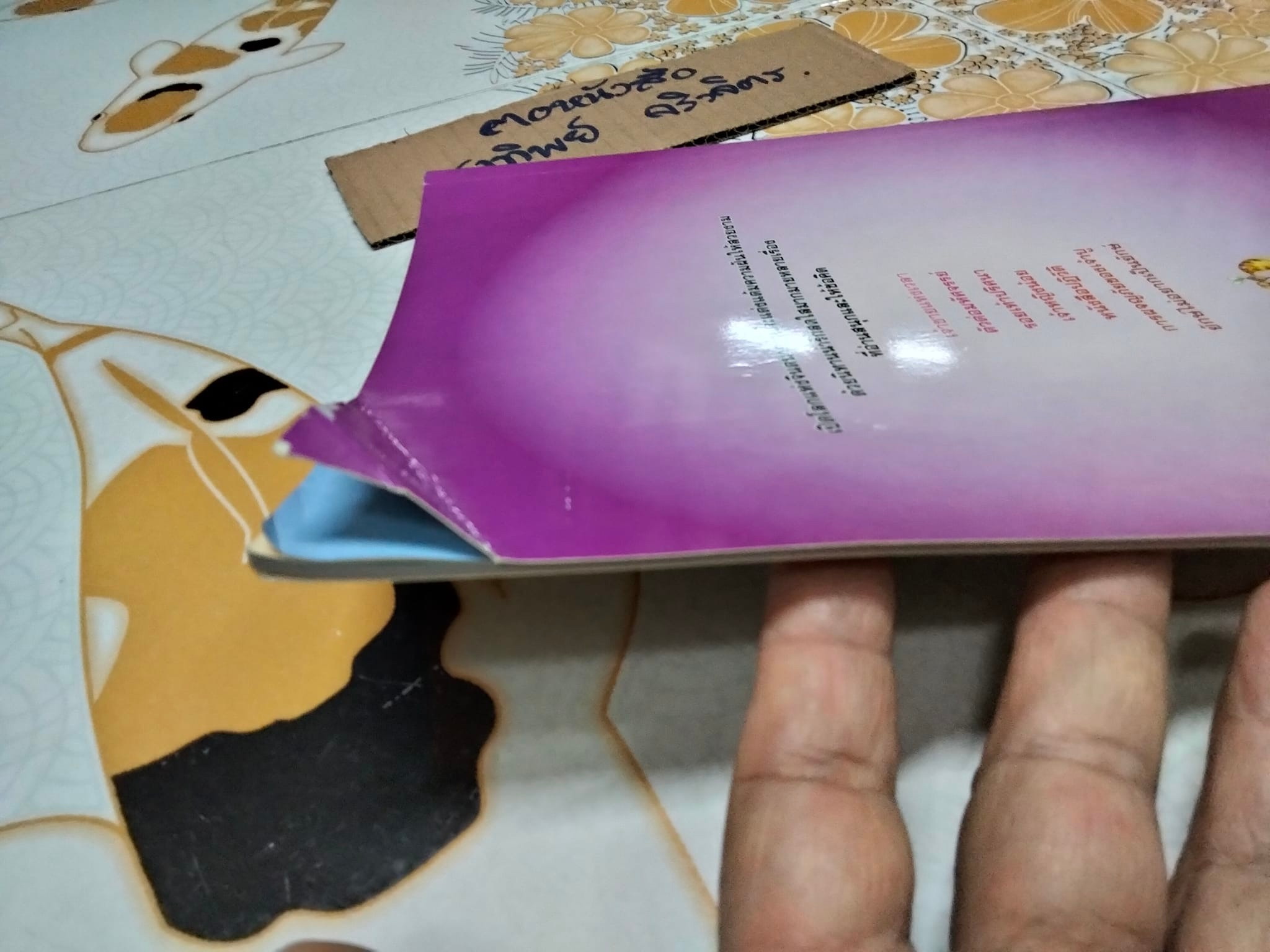 นิทานแต้มฝัน..(นิทานนานมีบุ๊คส์) ตุลนาถ แปล **สินค้าหมด**