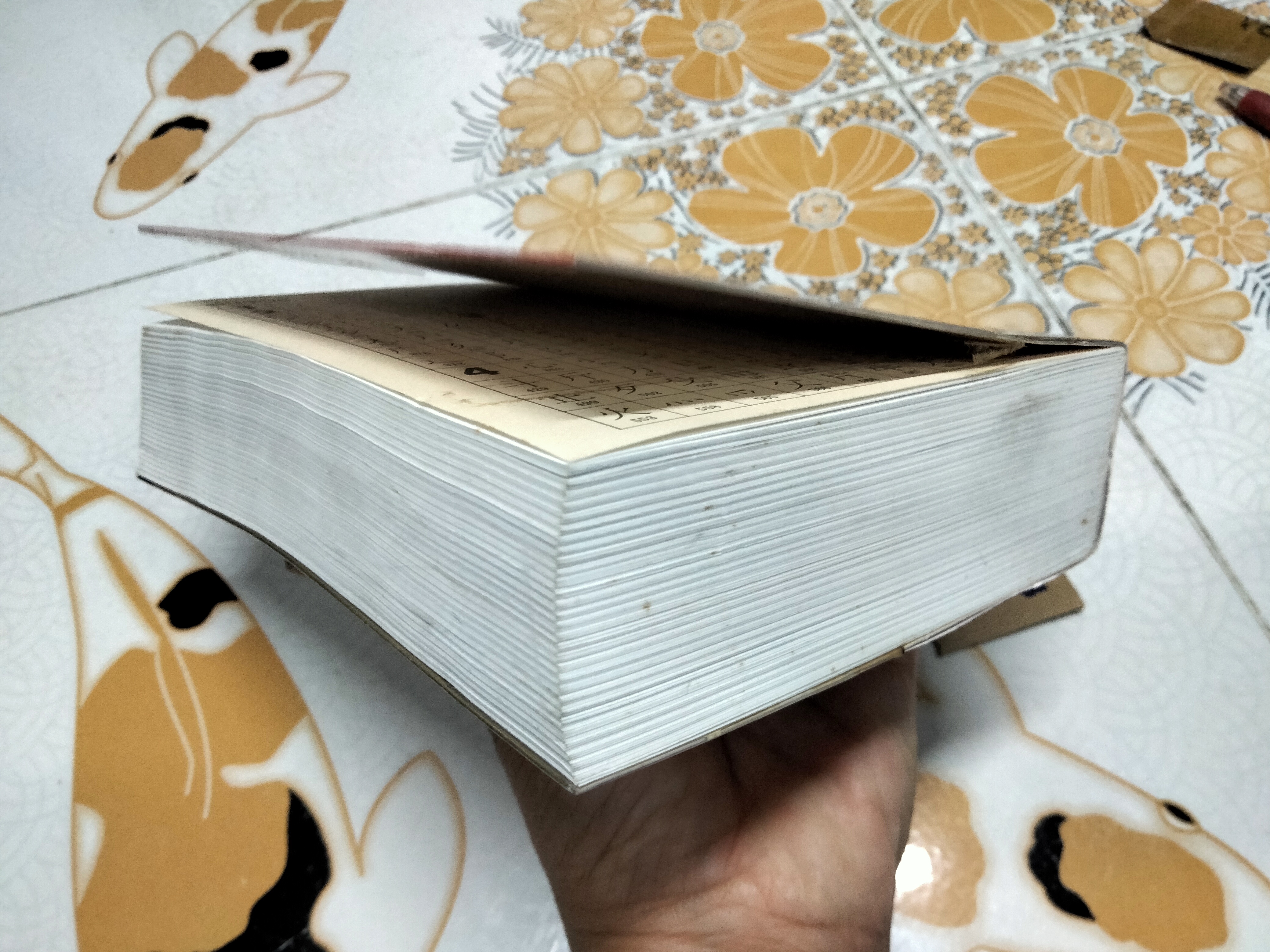 KODANSHA'S COMPACT KANJI GUIDE พจนานุกรมคันจิ ฉบับภาษาไทย -วันชัย สีลพัทธ์กูล แปล ,ผุสดี นาวาวิจิตร บรรณาธิการแปล **สินค้าหมด**