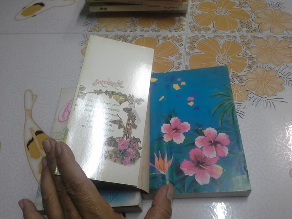 นิยาย ผลงานของ เชิญอักษร ขายยกชุด รวม 11 เรื่อง (ยังไม่ครบ) **สินค้าหมด**