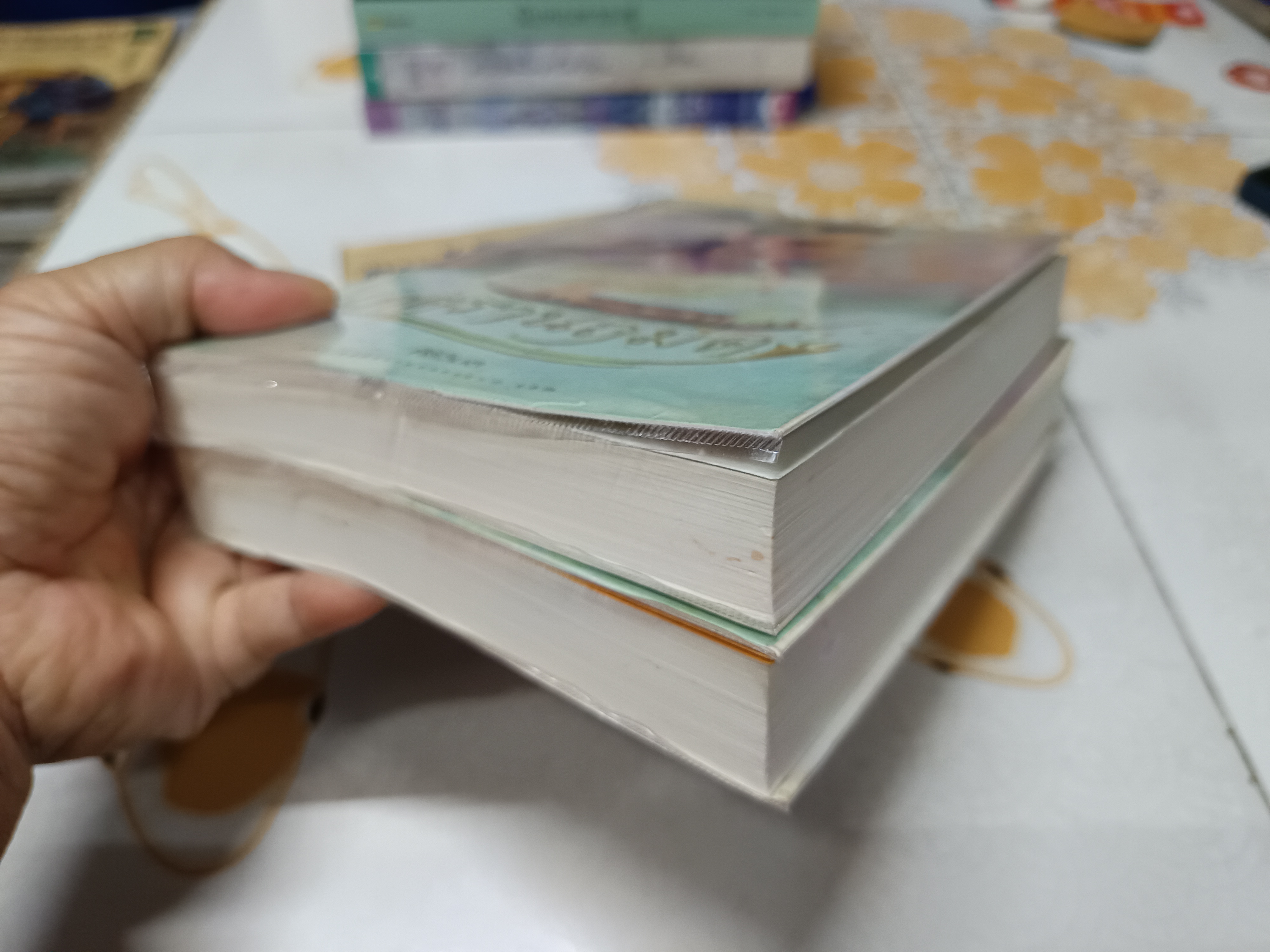 เภตรานฤมิต (2 เล่มจบ) - ศิริวิมล