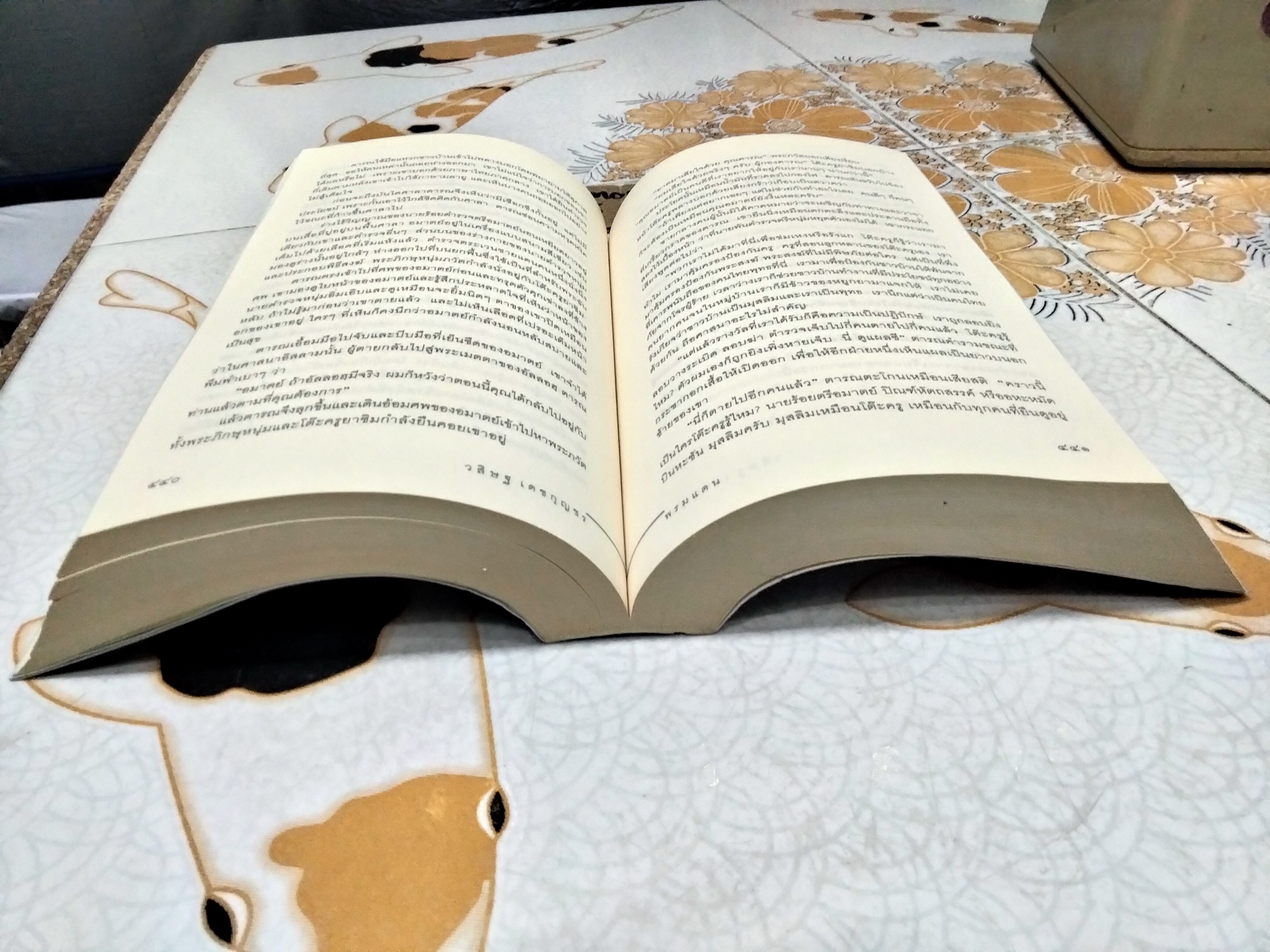 พรมแดน โดย วสิษฐ เดชกุญชร