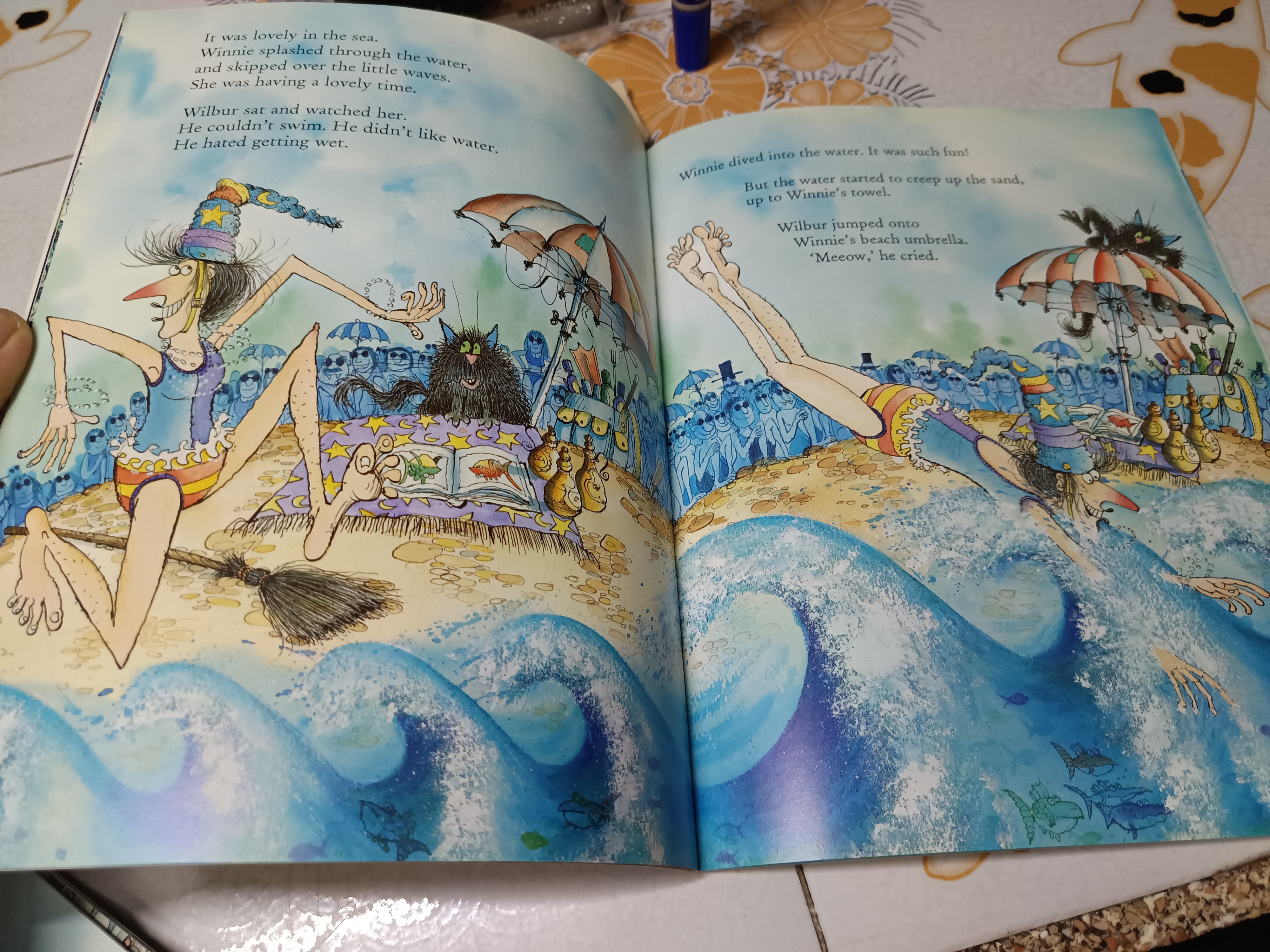 Winnie at the Seaside, Winnie the Witch Series