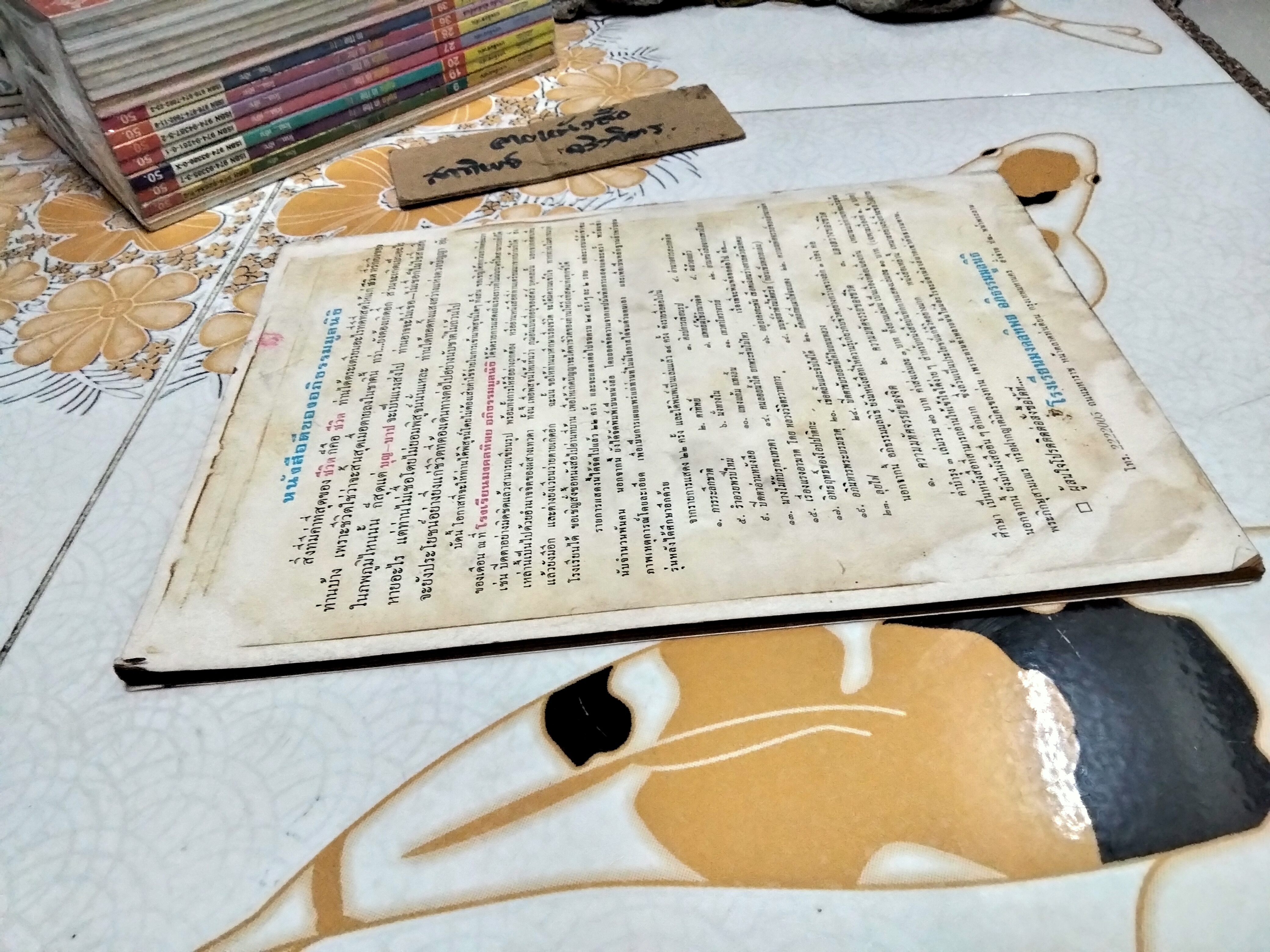 ปาฐกถา เรื่อง อยู่ยงคงกระพัน โดย หลวงพ่อมั่น (โอปปาติกะ) และ อาจารย์ชุม ไชยคีรี **สินค้าหมด**