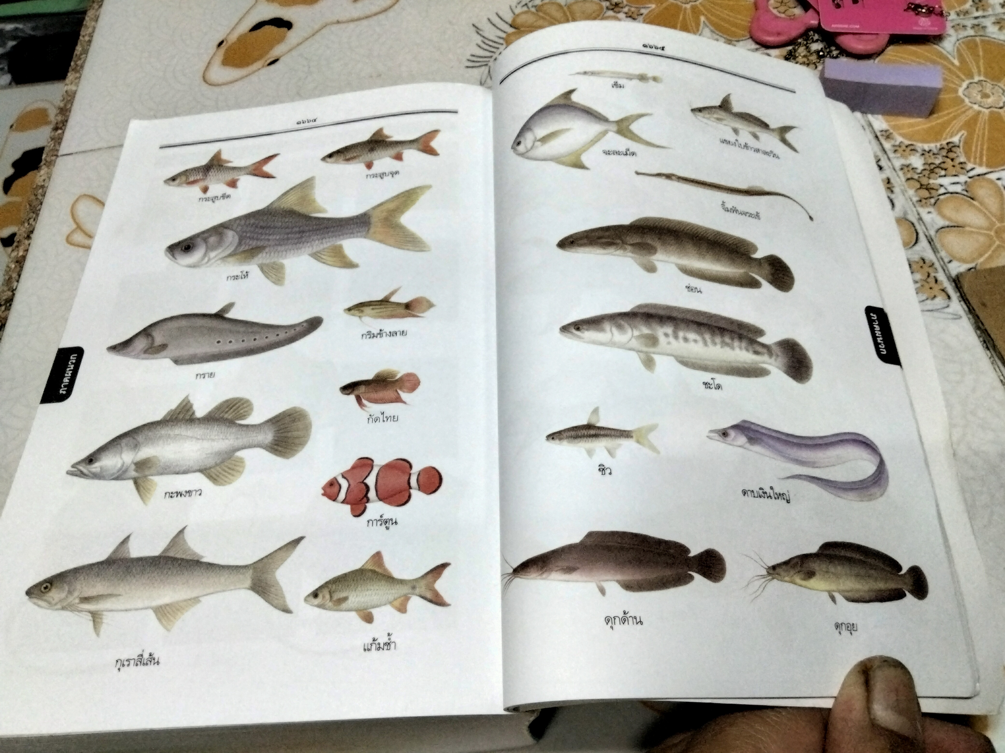 พจนานุกรมไทย ฉบับทันสมัยและสมบูรณ์ โดย ฝ่ายวิชาการภาษาไทย บริษัท ซีเอ็ดยูเคชั่น จำกัด