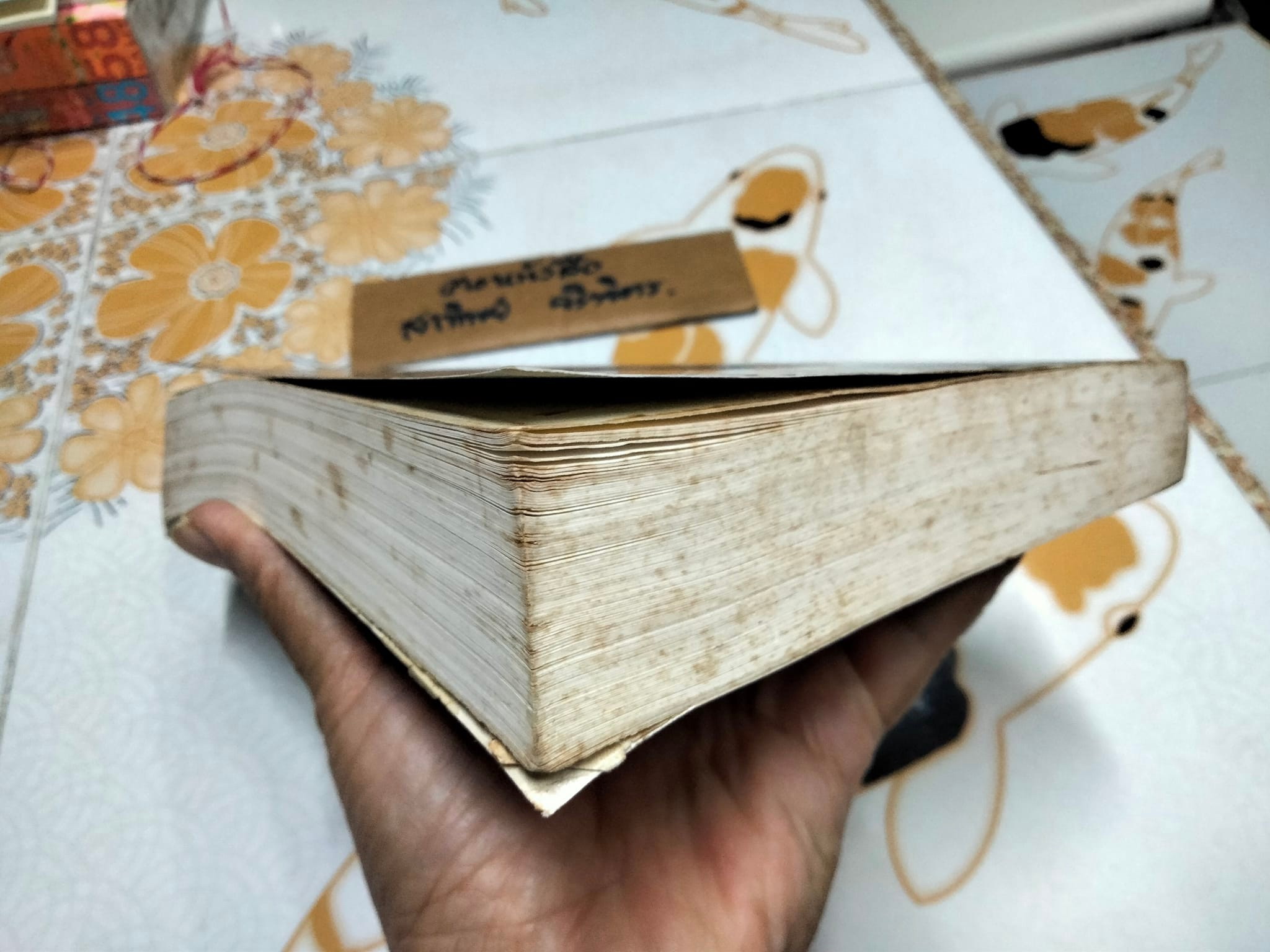 มุกมังกร The Dragon's Pearl - สิรินทร์ พัธโนทัย เขียน , บุญรัตน์ อภิชาติไตรสรณ์ แปล