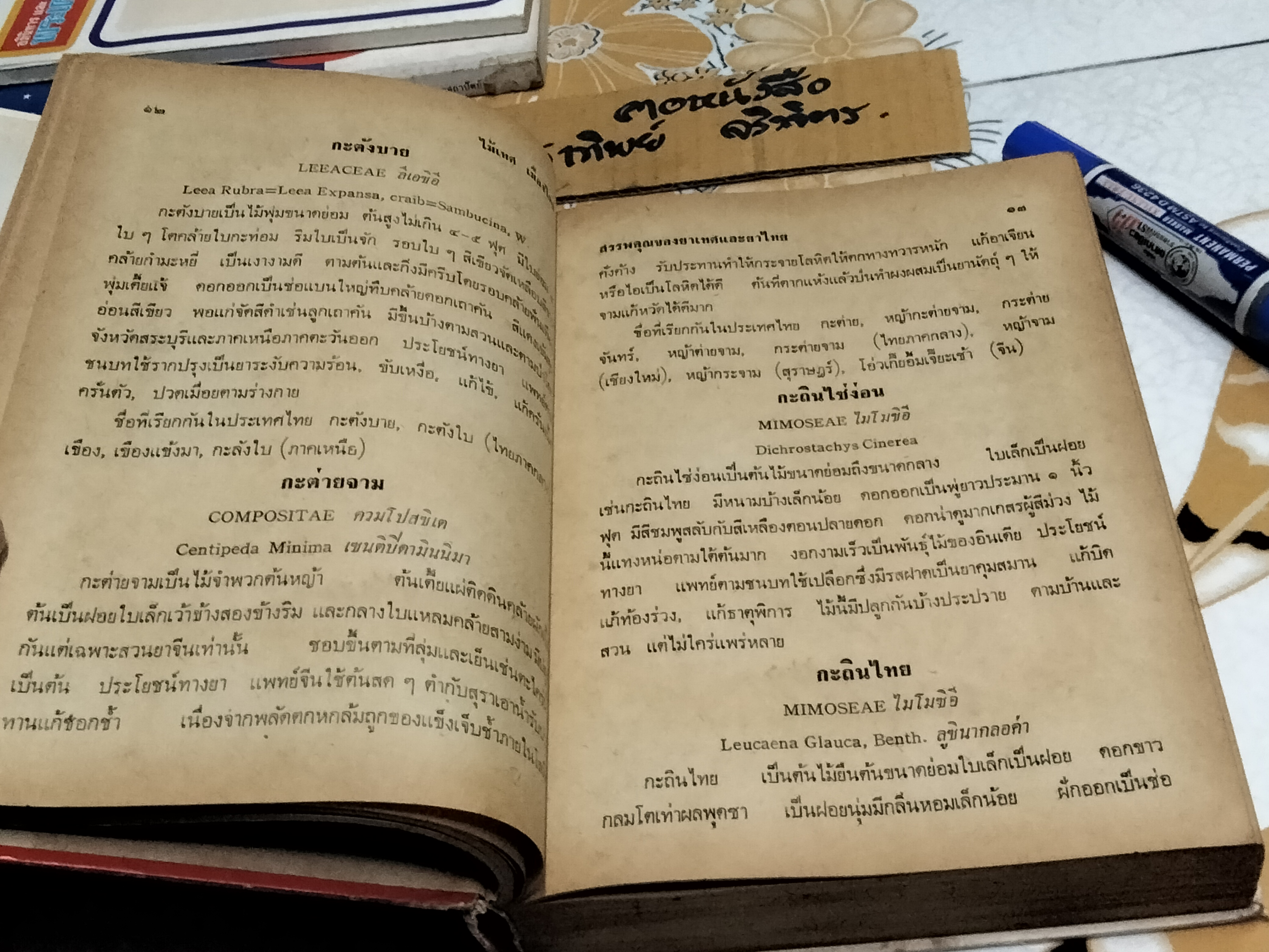 ไม้เทศ-เมืองไทย โดย หมอเสงี่ยม พงษ์บุญรอด (พิมพ์ปี 2519)