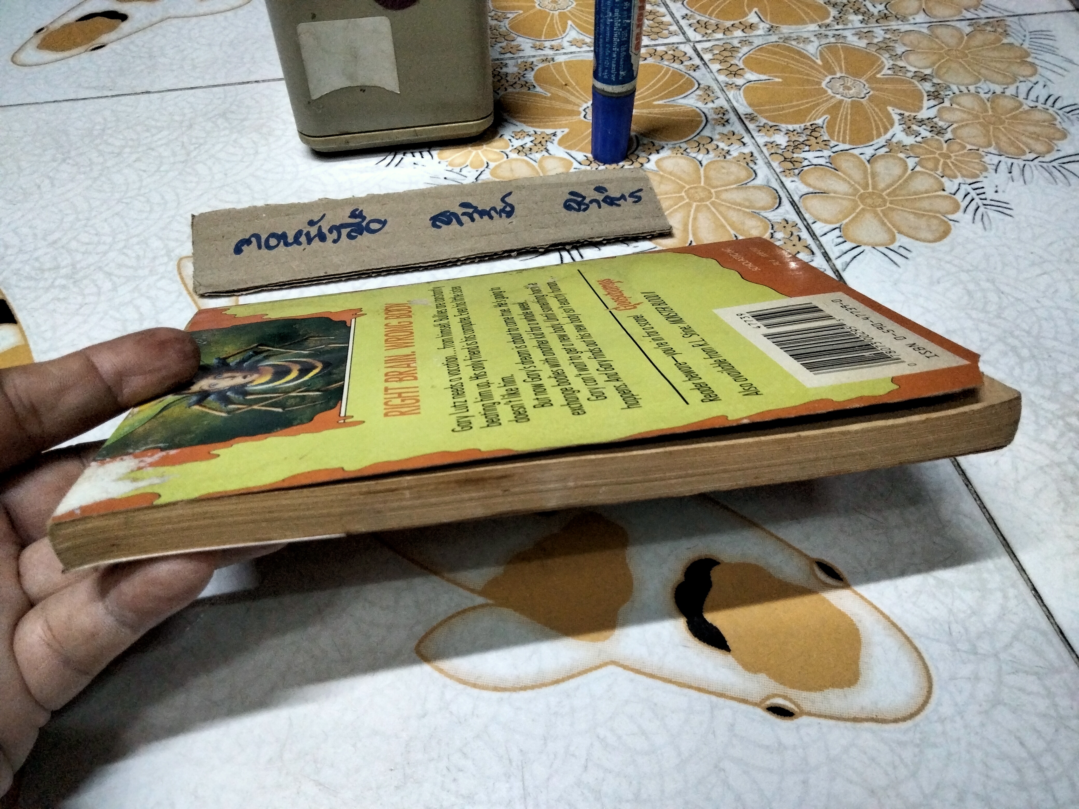 Goosebumps #17 Why I'm afraid of Bees (original series - R.L. STINE) ฉบับภาษาอังกฤษ สภาพพอใช้