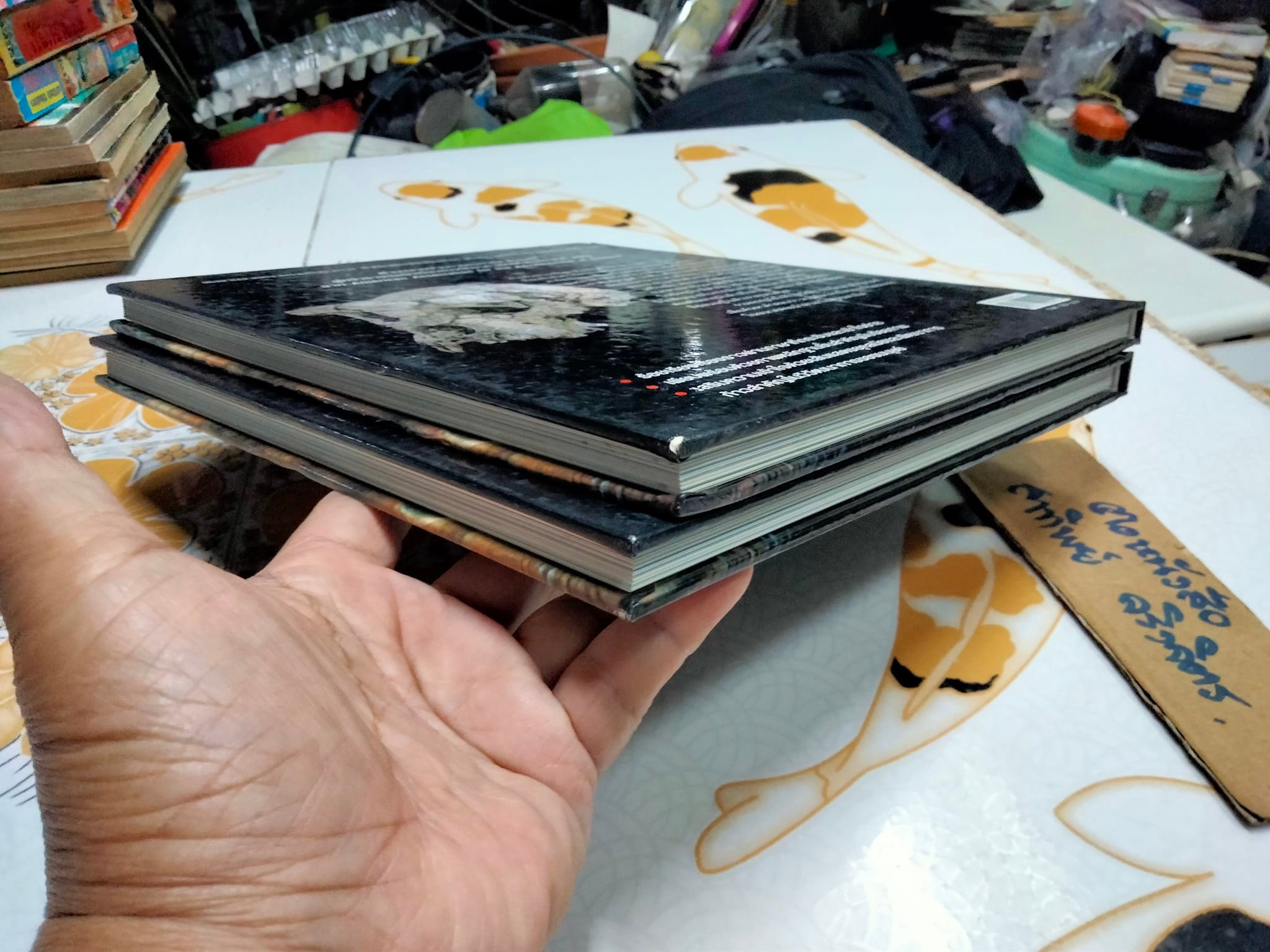 กำเนิดเผ่าพันธุ์มนุษย์ คาร์ล ซิมเมอร์ เขียน - อรรคพัฐโกสิยตระกูล แปล (NATIONAL GEOGRAPHY ปกแข็ง) **สินค้าหมด**