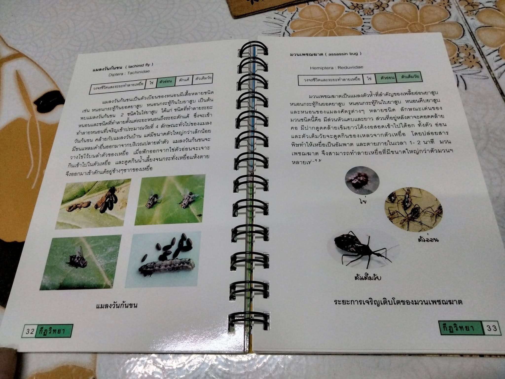 คู่มือ แมลงยาสูบ Tobacco Insect โดย กองกีฏวิทยา สถานีทดลองยาสูบแม่โจ้