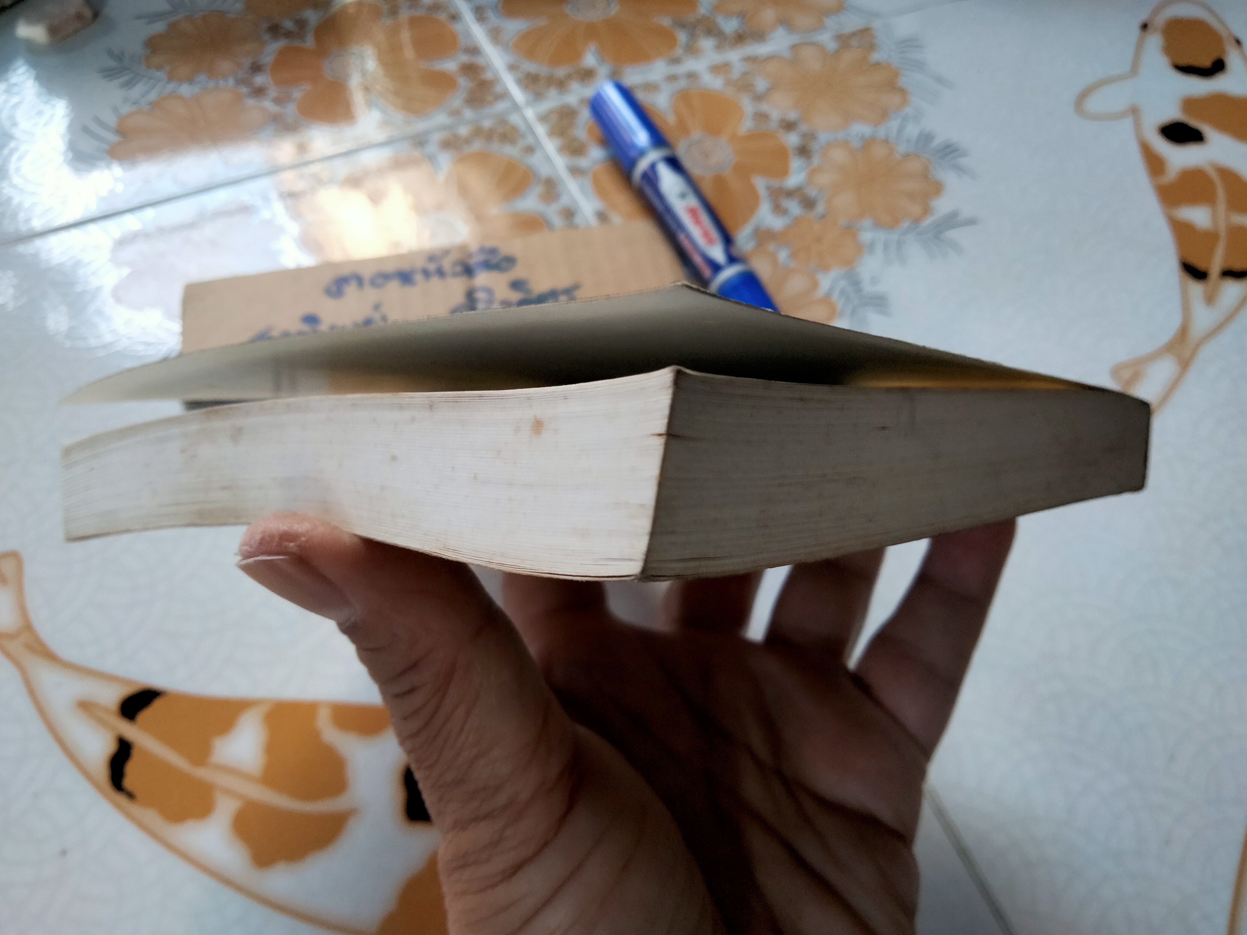 สถาบันสถาปนาแห่งที่สอง (Second Foundation) ไอแซค อาซิมอฟ เขียน - บรรยงค์ แล