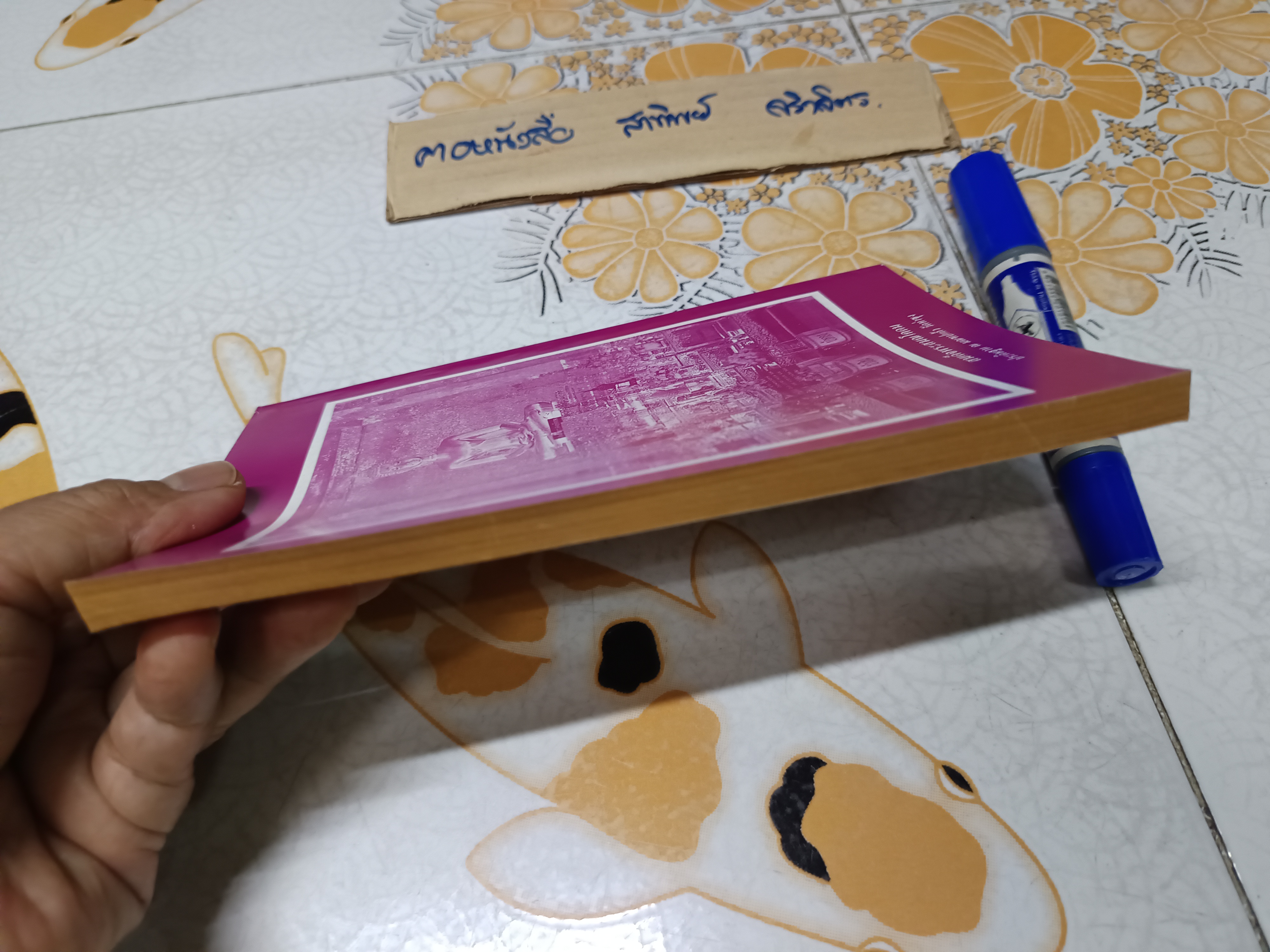 การฝึกมโนมยิทธิ (แบบครึ่งกำลัง) จัดทำโดย เจ้าหน้าที่ธัมมวิโมกข์ วัดท่าซุง จังหวัดอุทัยธานี