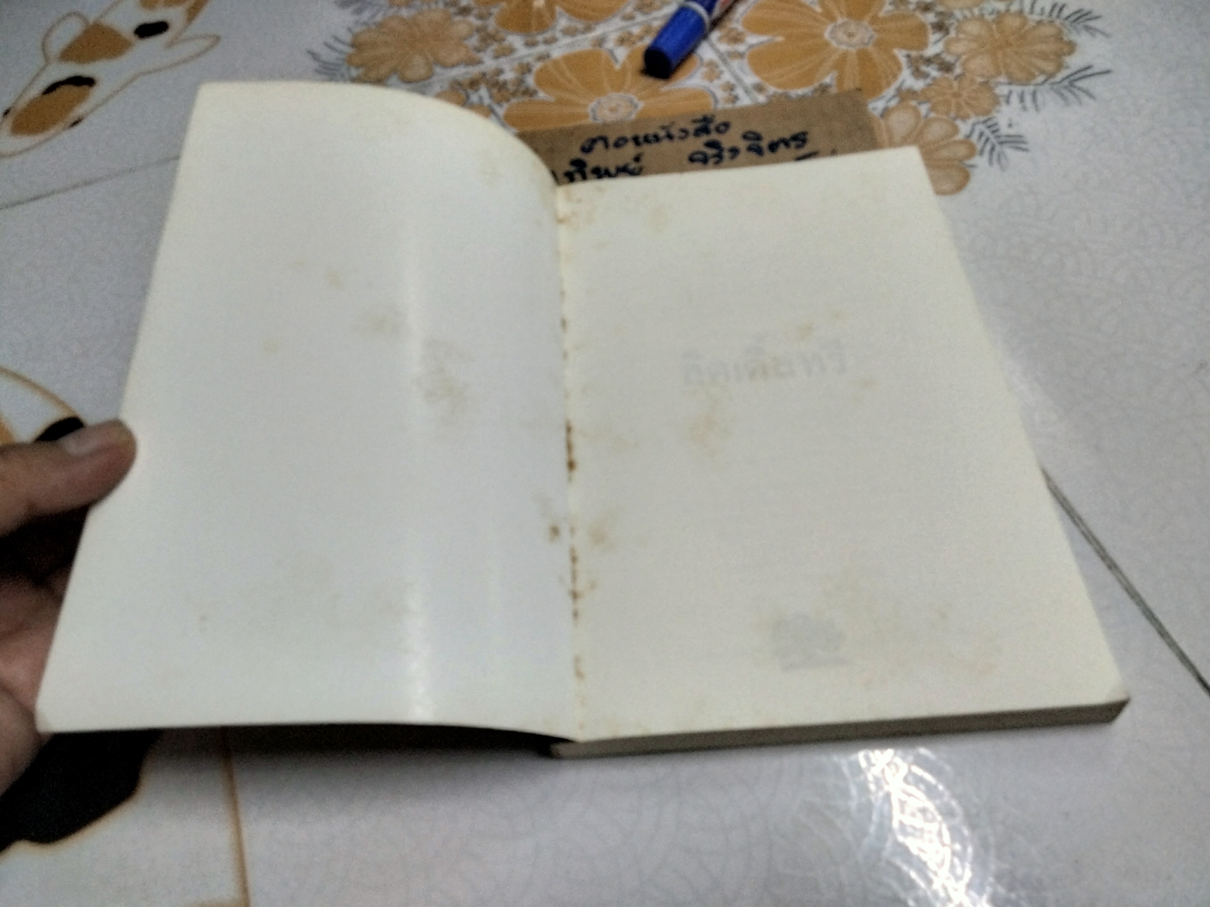 ลิตเติ้ลทรี The Education of Little Tree โดย ฟอร์เรส คาร์เตอร์ (Forrest Carter) แปลโดย กรรณิการ์ พรมเสาร์