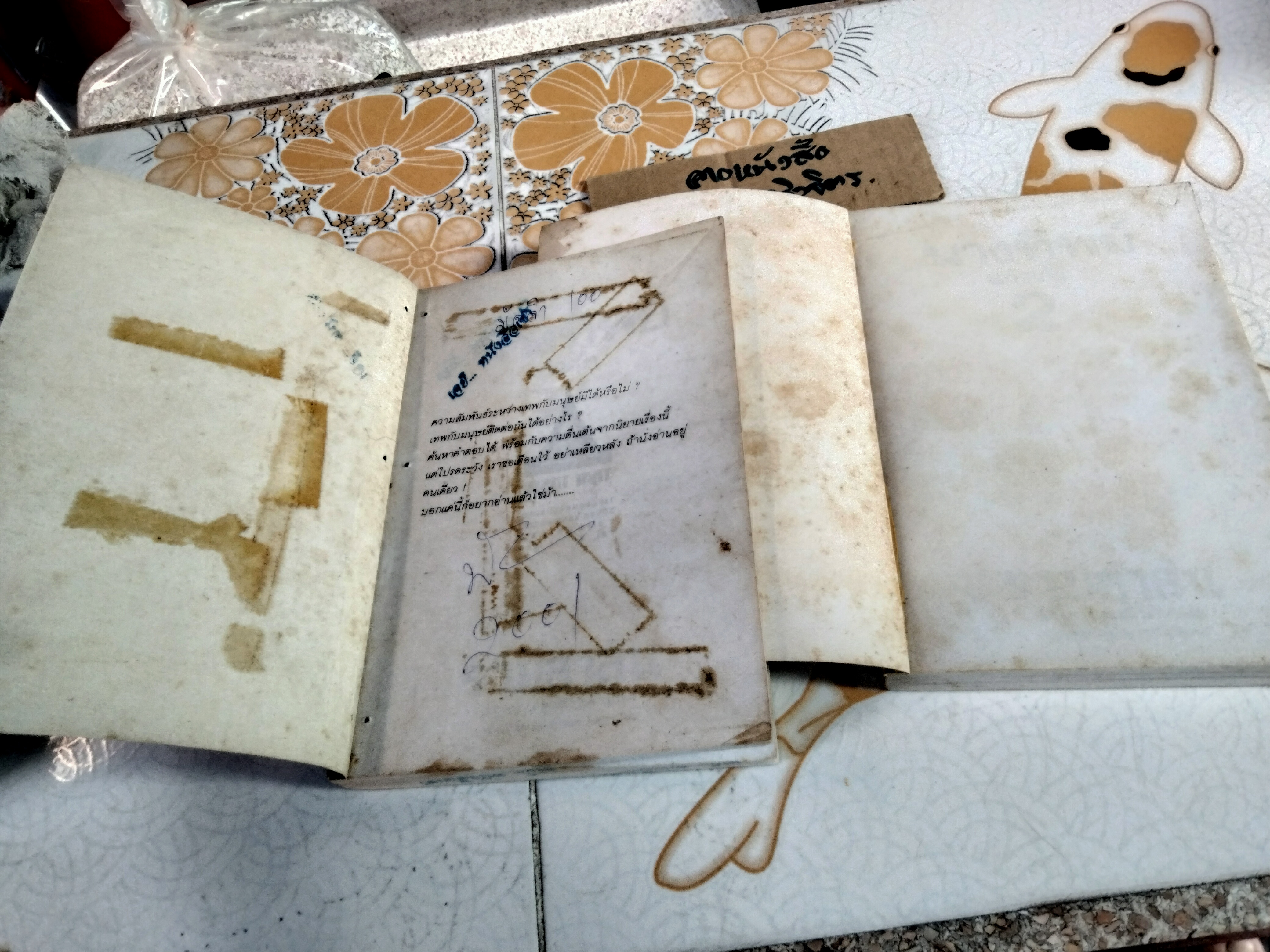 นางทิพย์ (2 เล่มจบ) แก้วเก้า (เช่า+บ้าน) **สินค้าหมด**