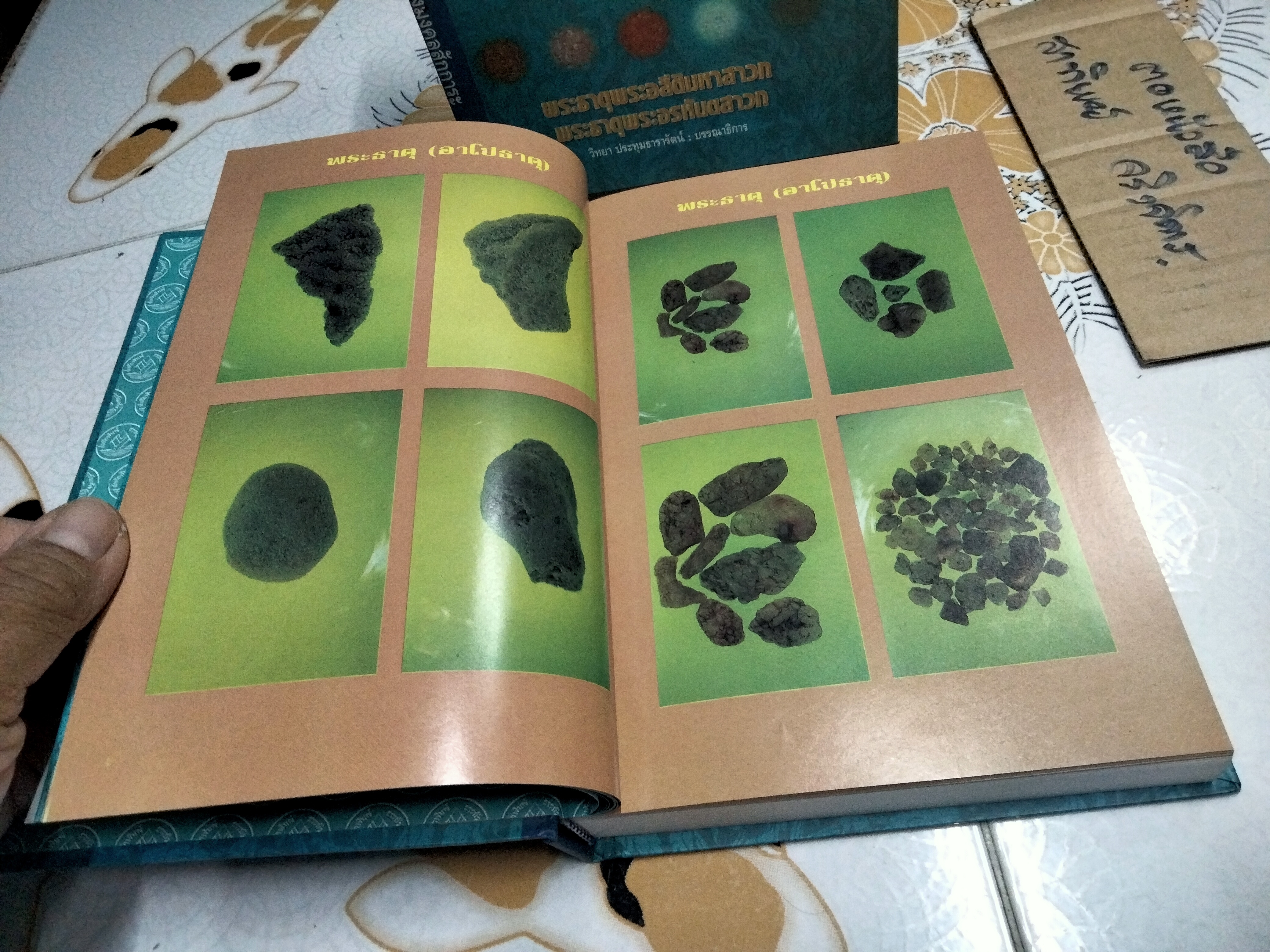 หนังสือ พระบรมสารีริกธาตุ (พร้อมกล่อง)-พระธาตุพระอสีติมหาสาวก-พระธาตุพระอรหันตสาวก โดย วิทยา ประทุมธารารัตน์ **สินค้าหมด**