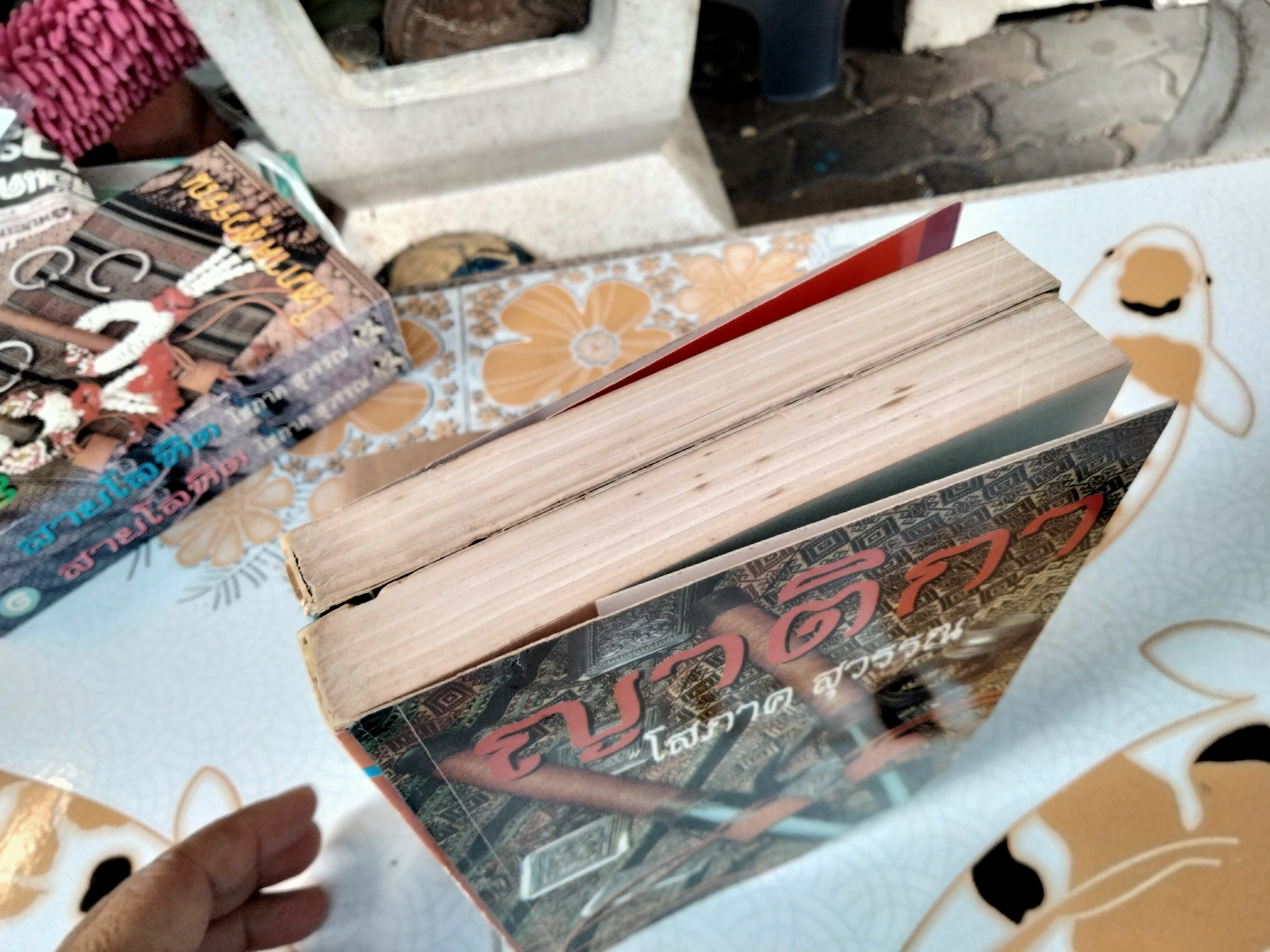 ญาติกา (2 เล่มจบ) - โสภาค สุวรรณ **ตำหนิโดนปลวกกิน **สินค้าหมด**