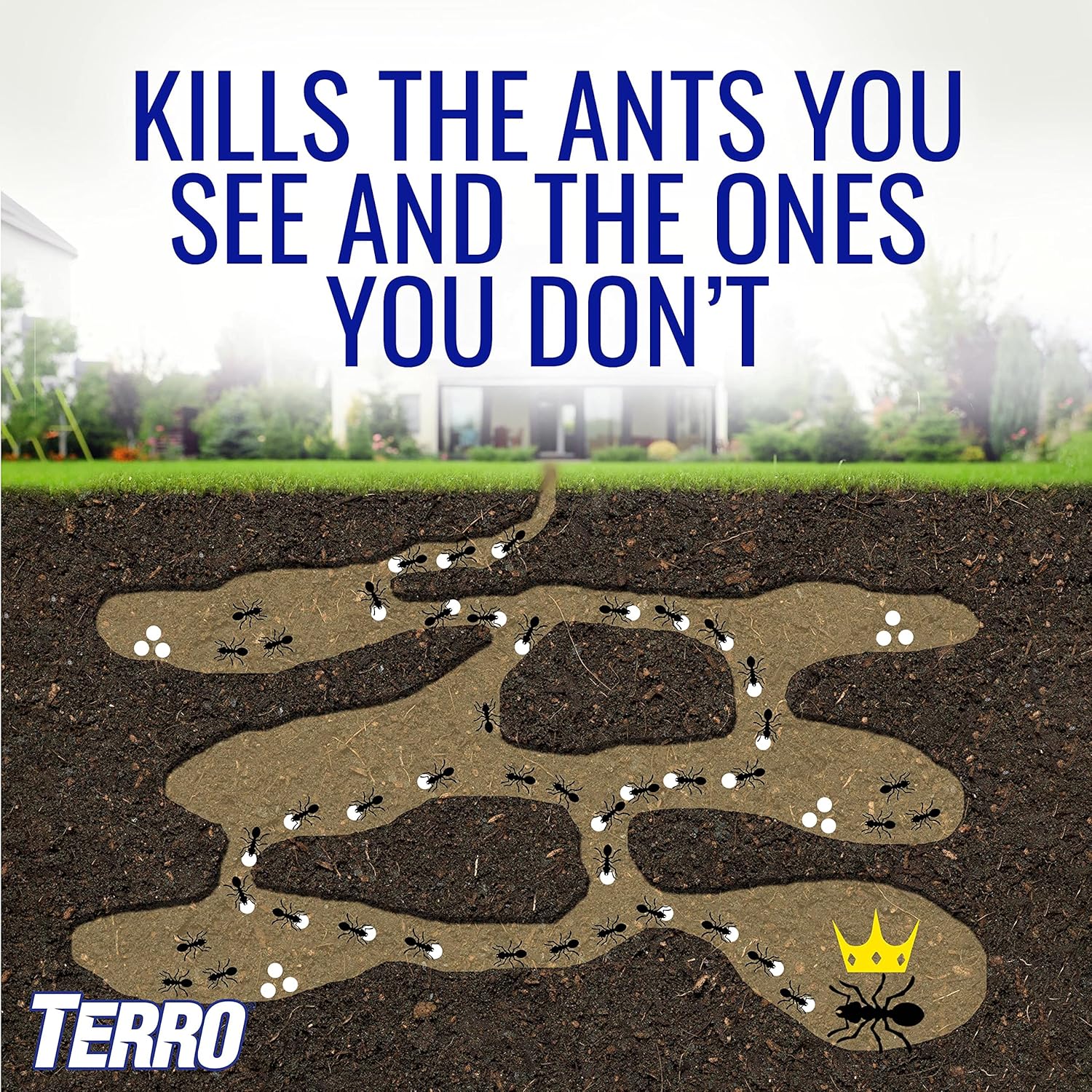 TERRO® T200 Liquid Ant Killer ll 59.144 cc ผลิตภัณฑ์กำจัดมด