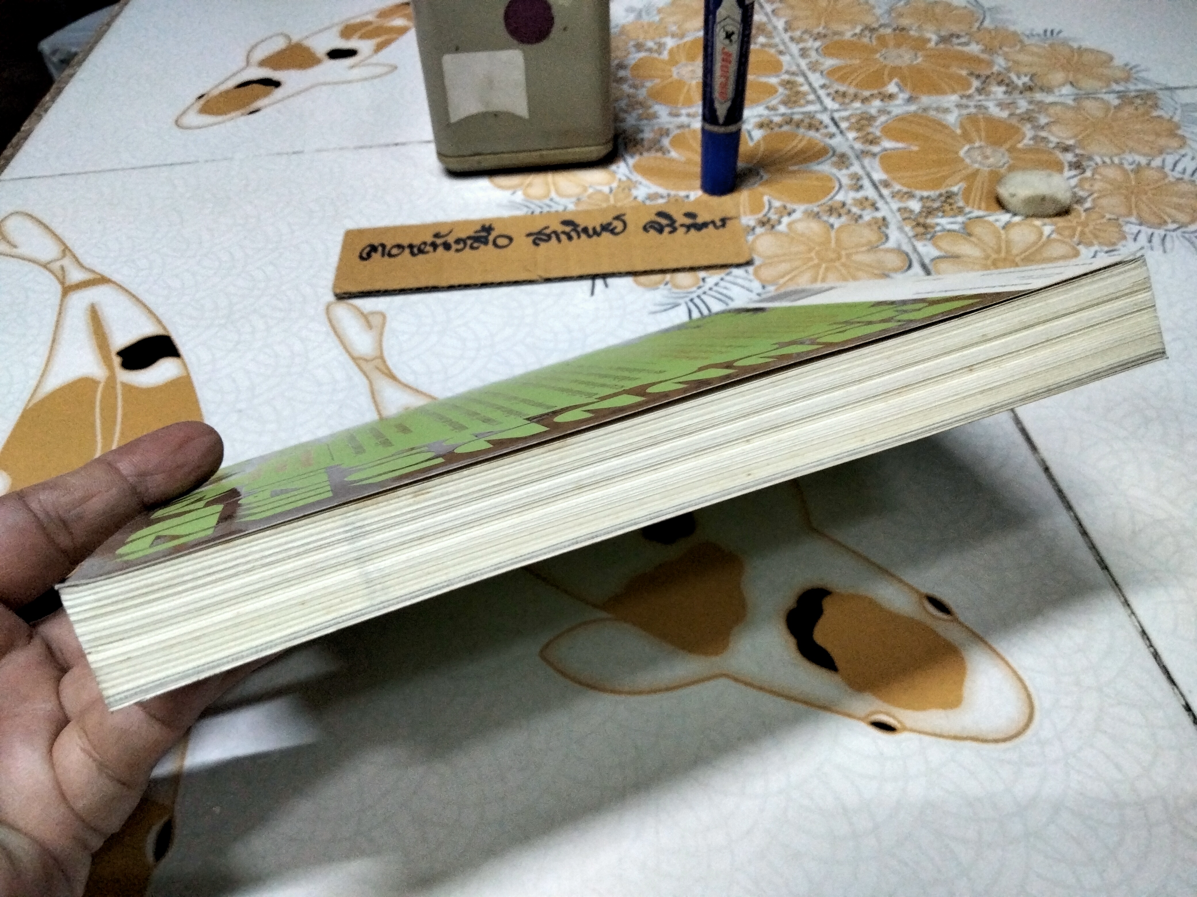 อย่ากะพริบตา ถ้าจะมองโลก เรจีนา เบรตต์ เขียน พรภิเษก แปล