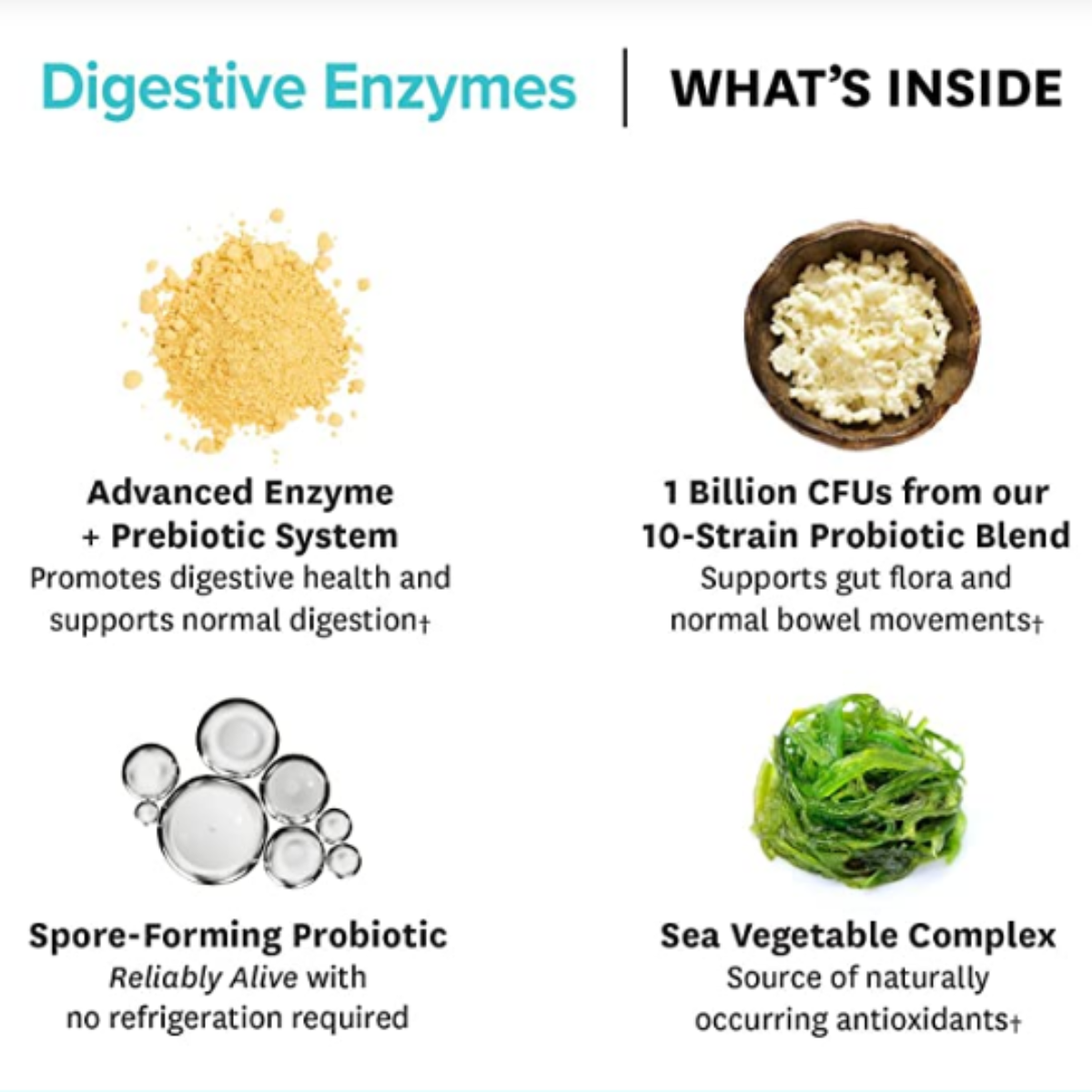 Zenwise Health® Daily Digestive Enzymes with Prebiotics + Probiotics 60 Capsules เอนไซม์ย่อยอาหาร พรีไบโอติก & โปรไบโอติก