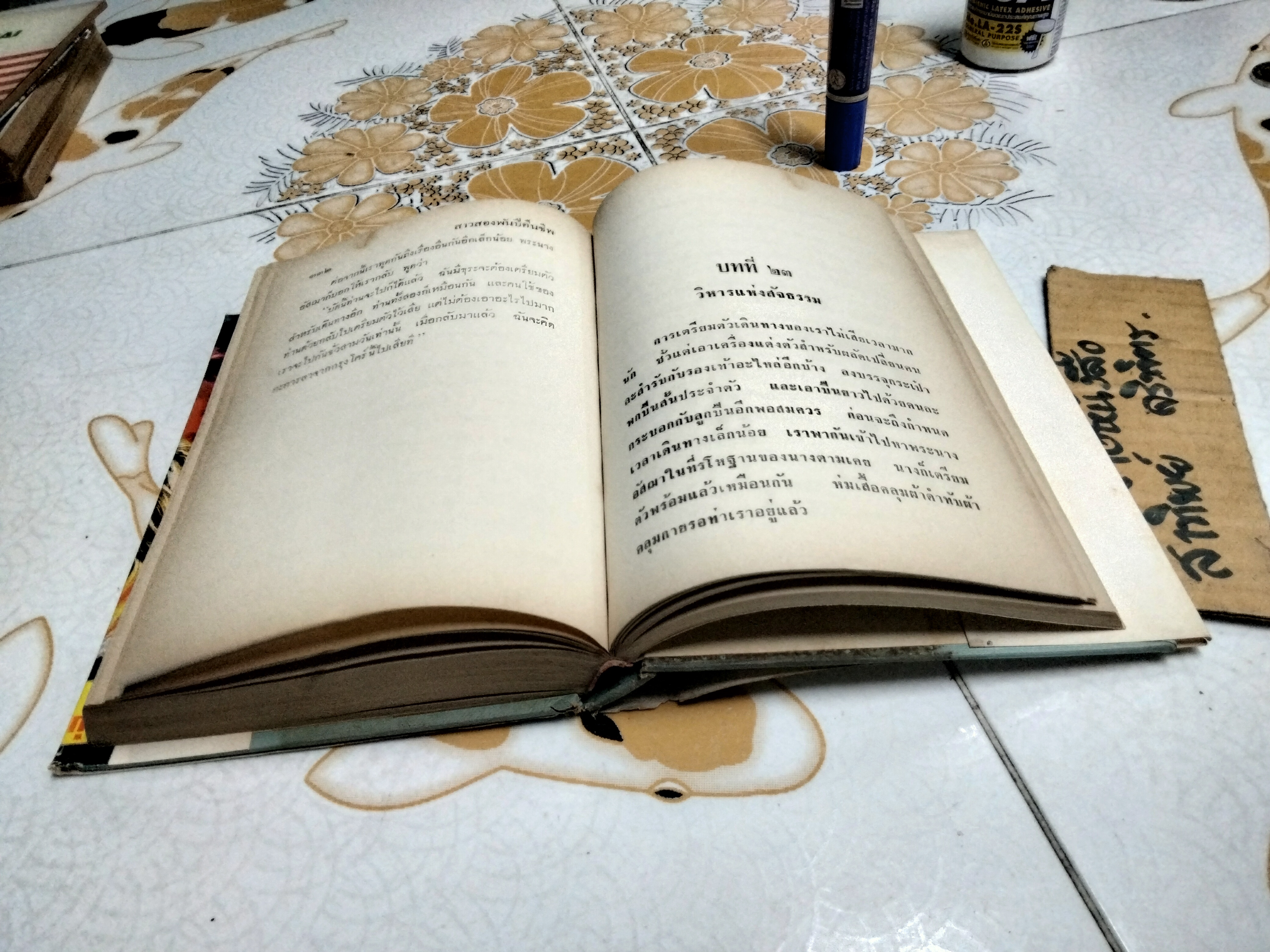 สาวสองพันปี ‘ไชยวัฒน์’ และ อ.บุษปเกศ แปลจาก She ของ เซอร์ เอช ไรเดอร์ แฮกการ์ด