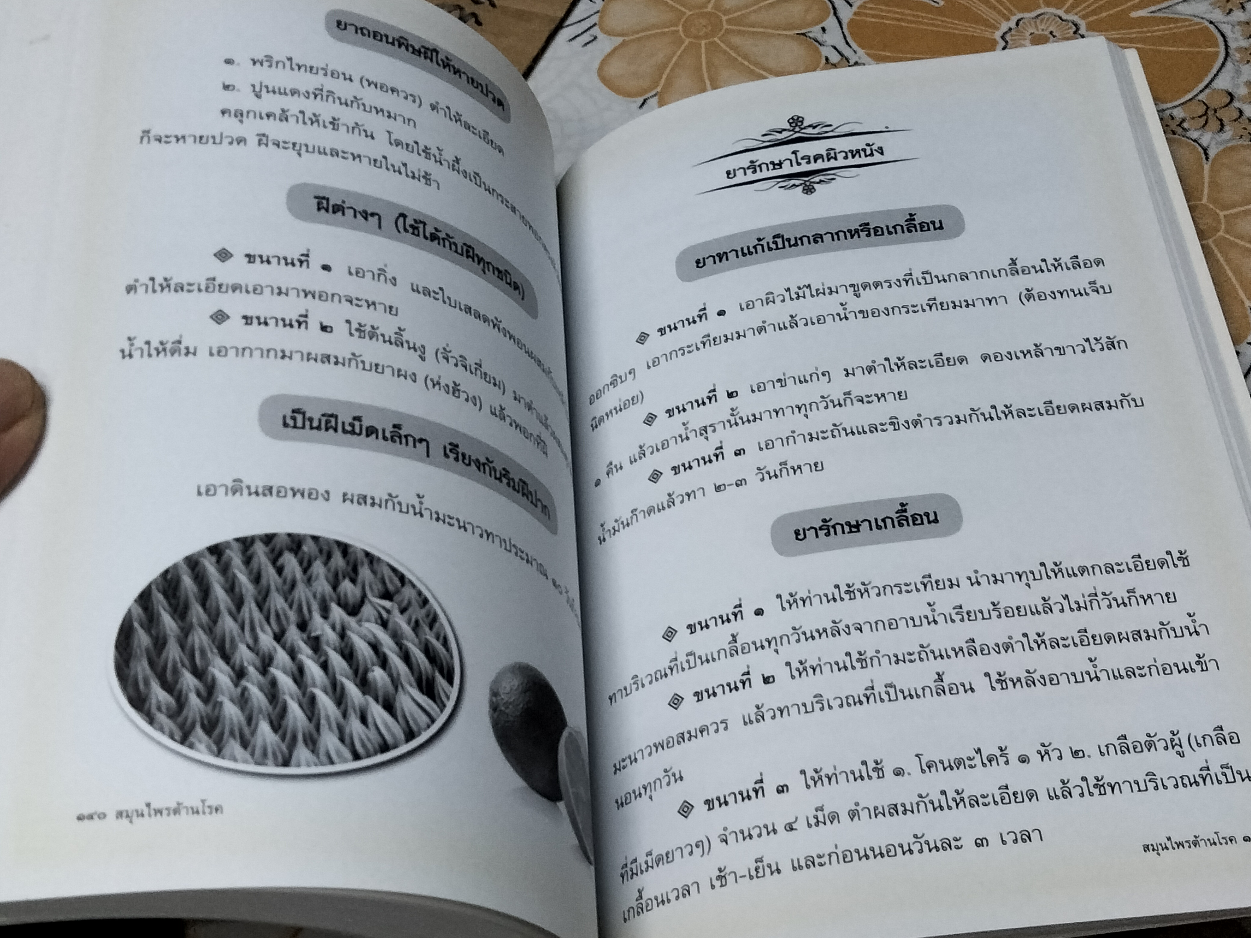 สมุนไพรต้านโรค - หนังสือที่รวบรวมองค์ความรู้มาจากหลากหลายแหล่งข้อมูล