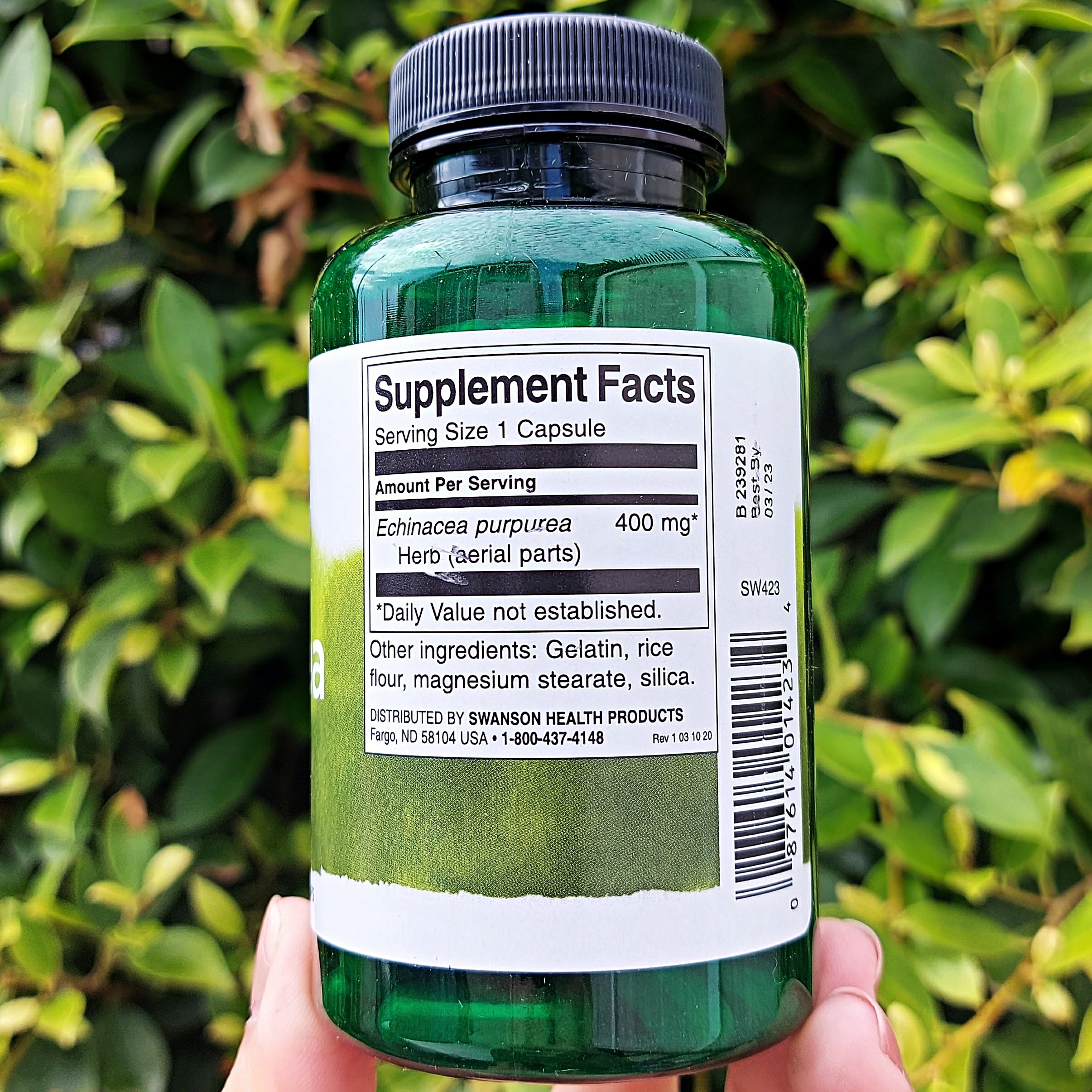 เอ็กไคนาเซีย Echinacea 400 mg 100 capsules (Swanson®) สร้างภูมิคุ้มกันและเสริมสร้างความแข็งแรงของร่างกาย