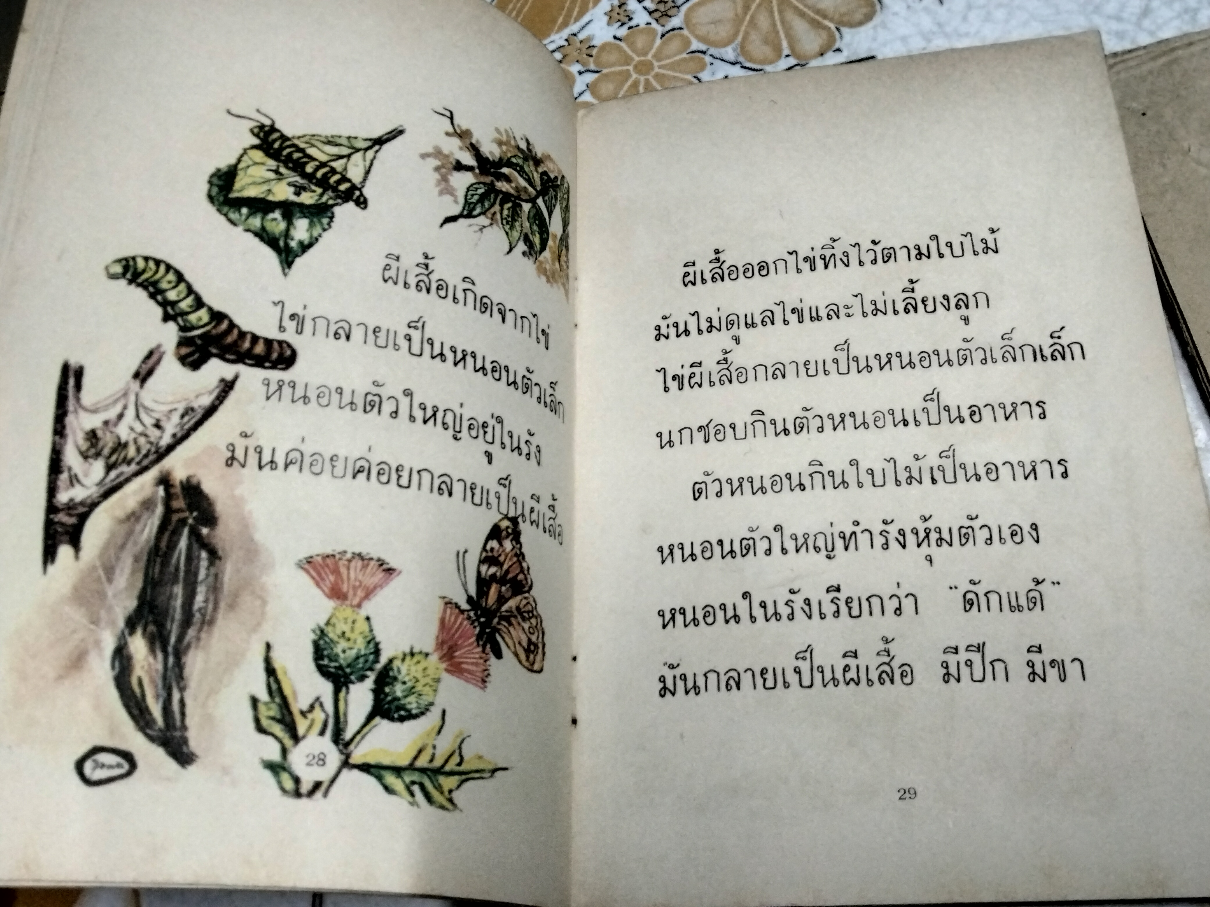 หนังสือแบบเรียนเก่า - แบบสอนอ่านวิทยาศาสตร์เบื้องต้น เรื่อง สัตว์ที่เรารู้จัก ชั้นประถมปีที่ 1 ของ กระทรวงศึกษาธิการ พิมพ์ครั้งที่ 7 พ.ศ 2513 **สินค้าหมด**