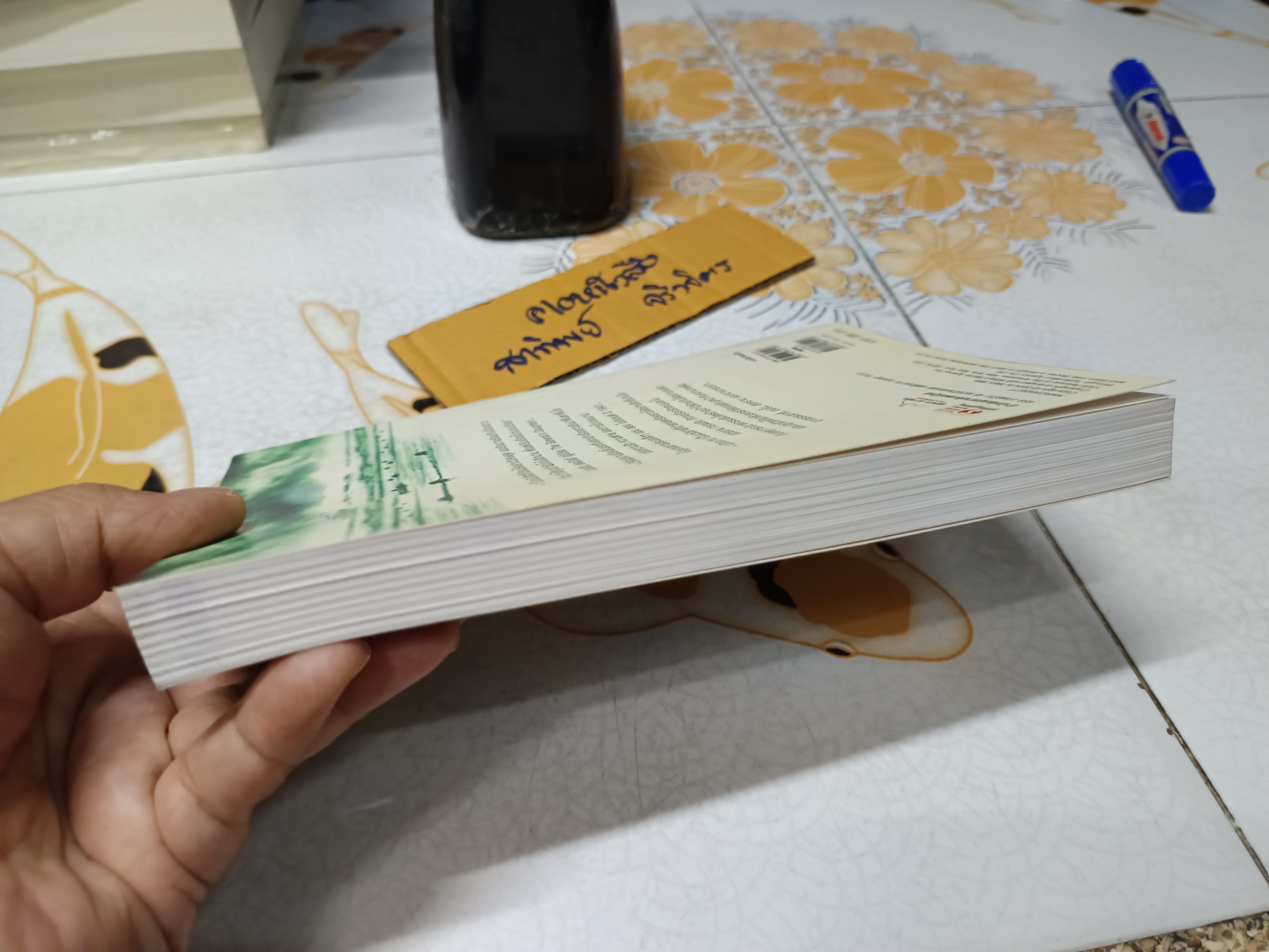 เมืองบาป Vol.1 (Amagansett) ผลงานของ มาร์ก มิลส์