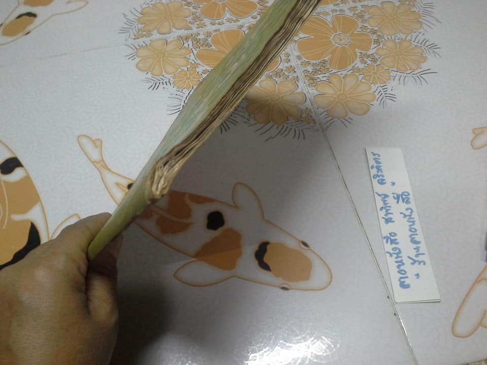 สมุดสะสมสติกเกอร์ ชีวิตสัตว์โลก - แปะครบ (ตัวเล่มมีคราบน้ำ มุมบนมีรอยยับ) **สินค้าหมด**