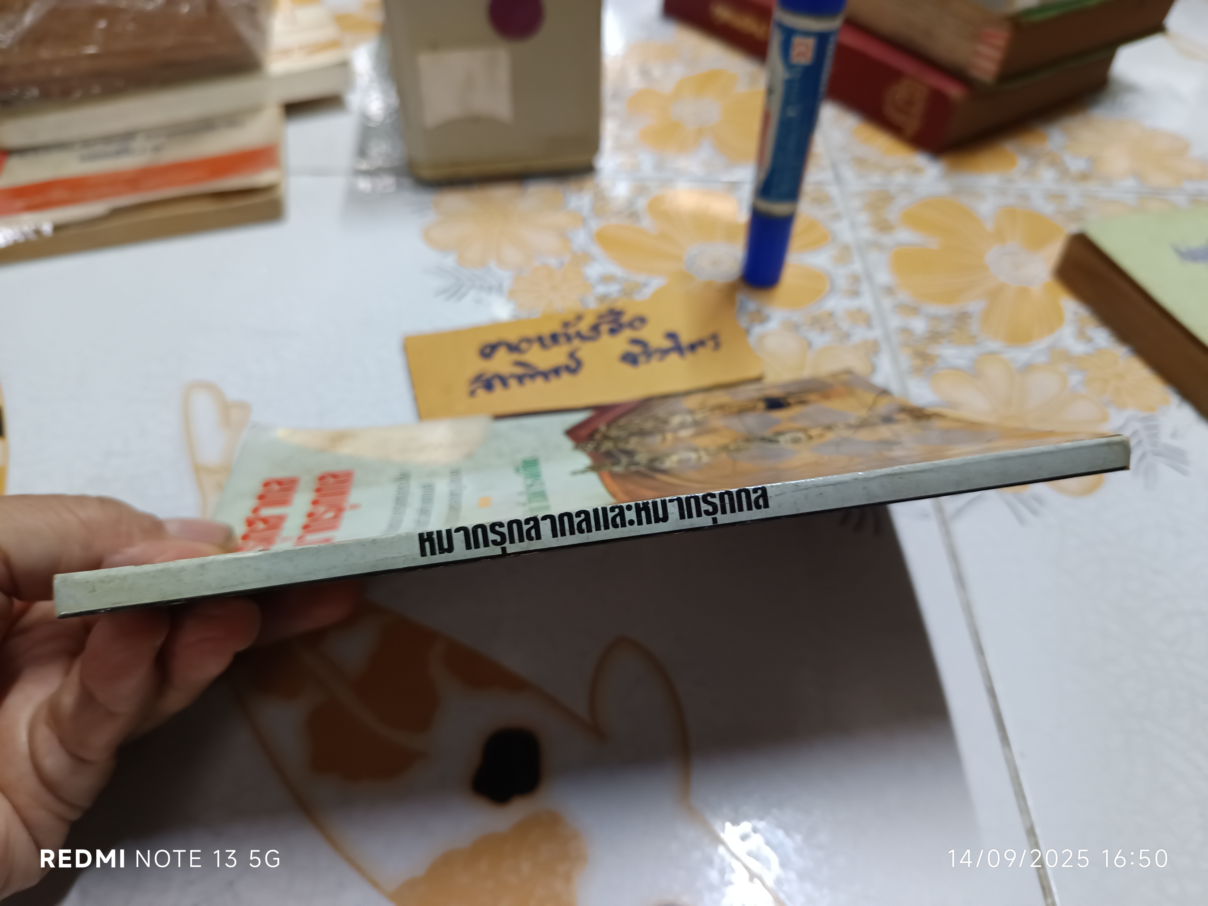 หมากรุกสากล และหมากรุกกล โดย วินัย ลิ้มดำรงค์ชิต