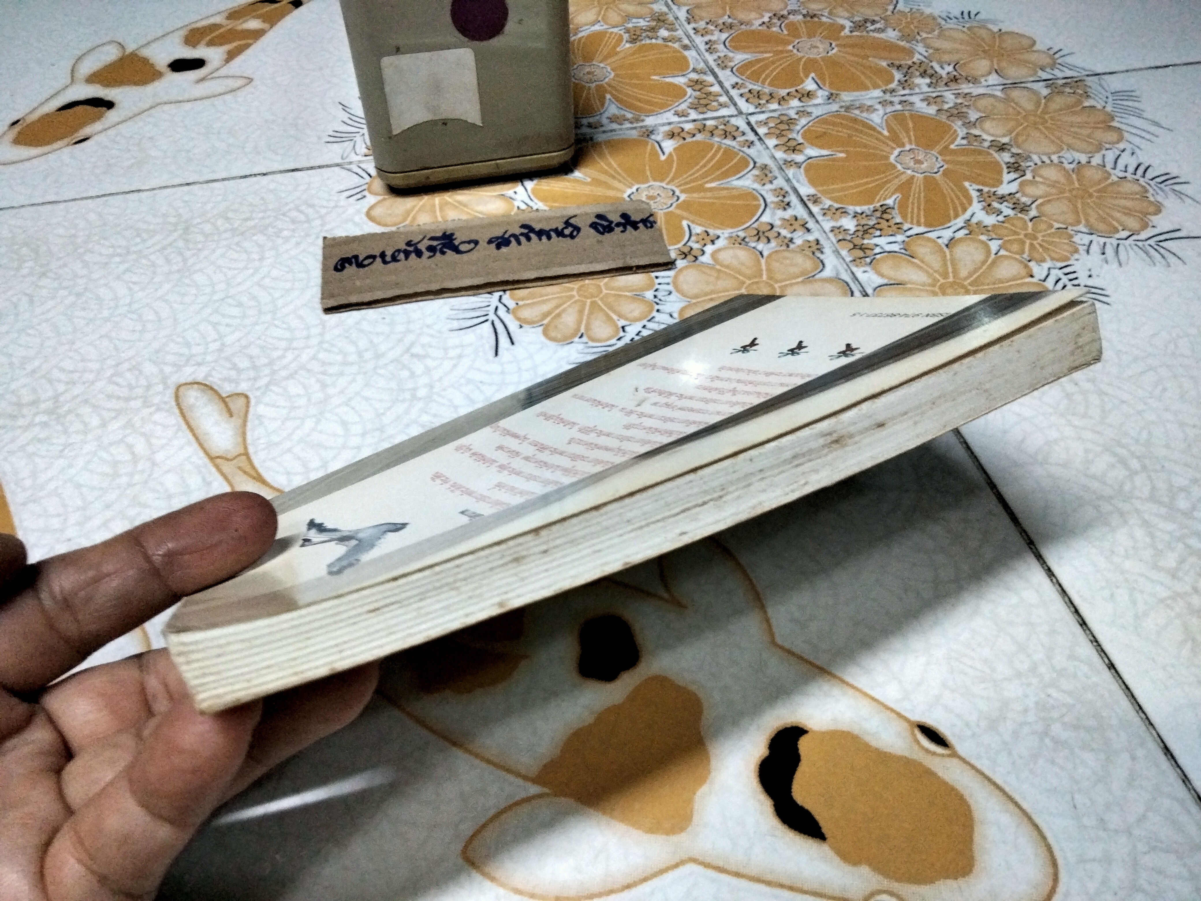 ค้นหาตัวเอง โดย นวลศิริ เปาโรหิตย์ ภาพโดย อดิพร โอภาศชาติ พิมพ์ครั้งที่ 3 สนพ.แสงแดด **สินค้าหมด**