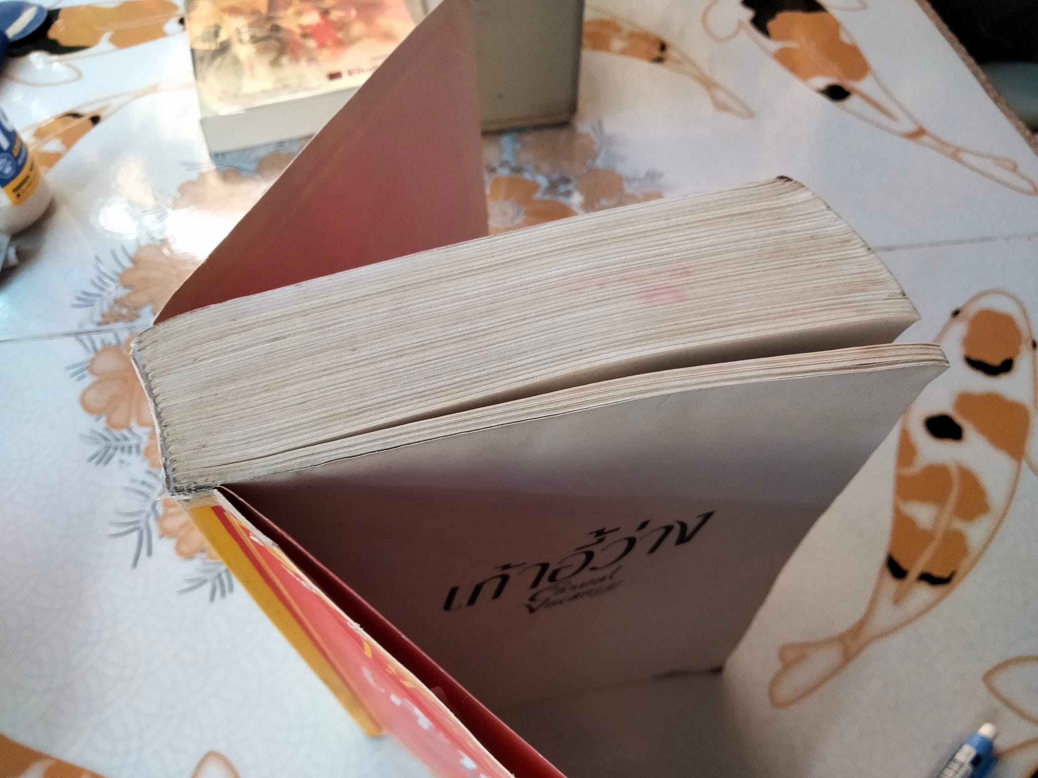 เก้าอี้ว่าง The Casual Vacancy - J.K. Rowling เจริญเกียรติ ธนสุขถาวร แปล (สภาพอ่าน)