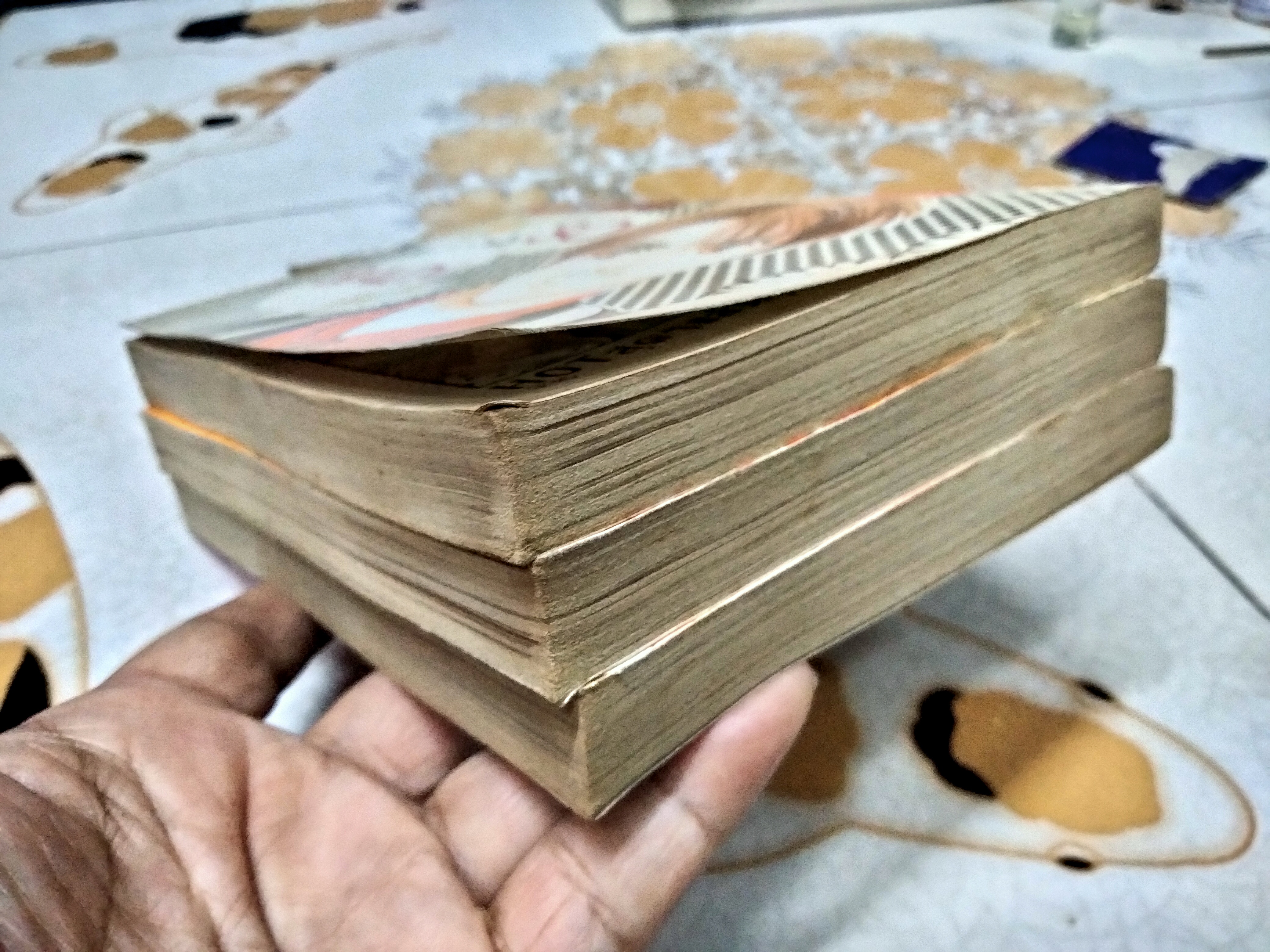 รักในใจ ให้ใครคนหนึ่ง (3เล่มจบ- KK Books) Miki Aihara ผู้วาด รักร้อนซ่อนกล