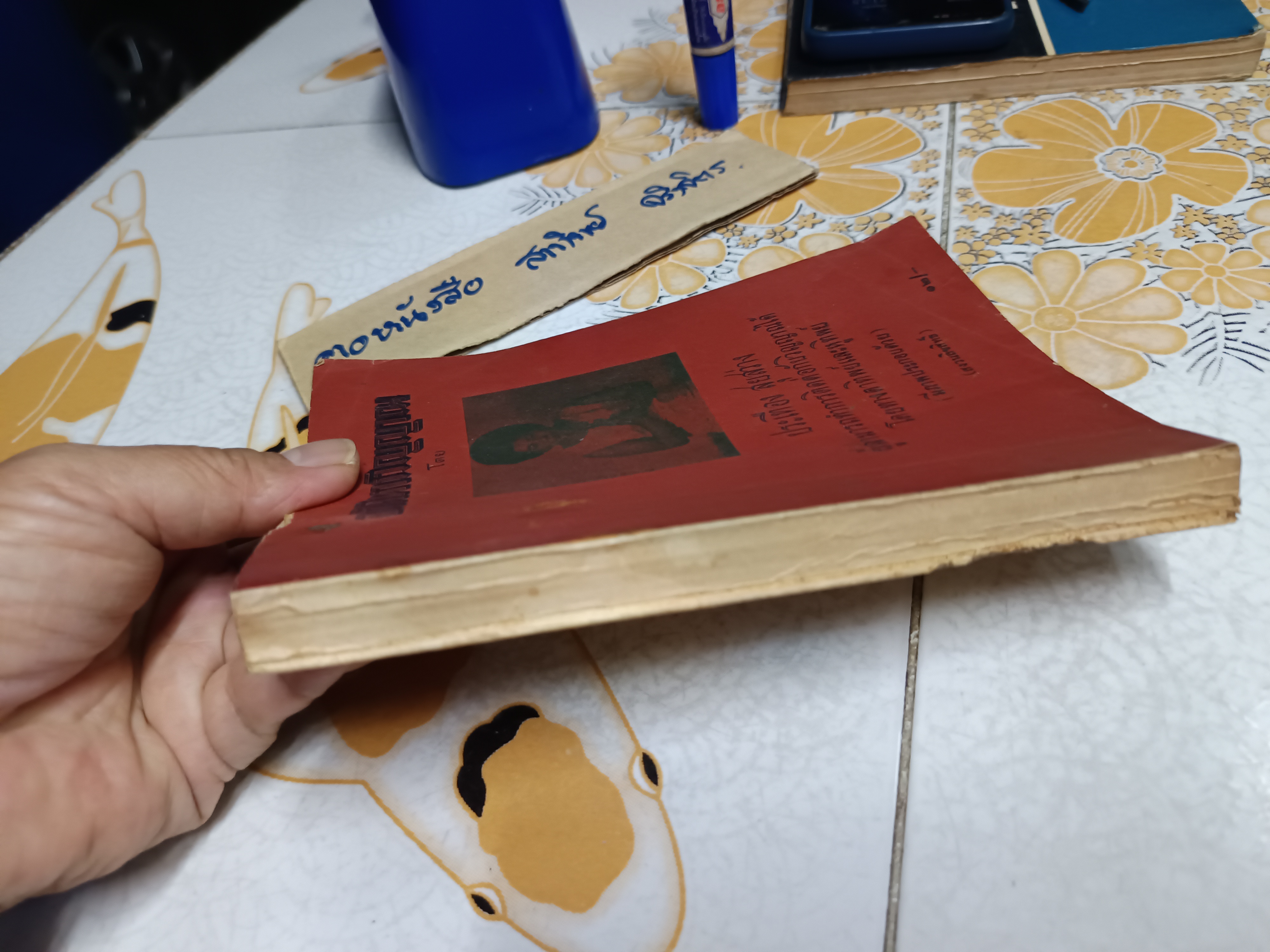 อภินิหารวิญญาณ โดย ประเทือง สุยสว่าง ผู้สามารถทำการติดต่อกับวิญญาณได้ โดยทางตาทิพย์และหูทิพย์ **สินค้าหมด**