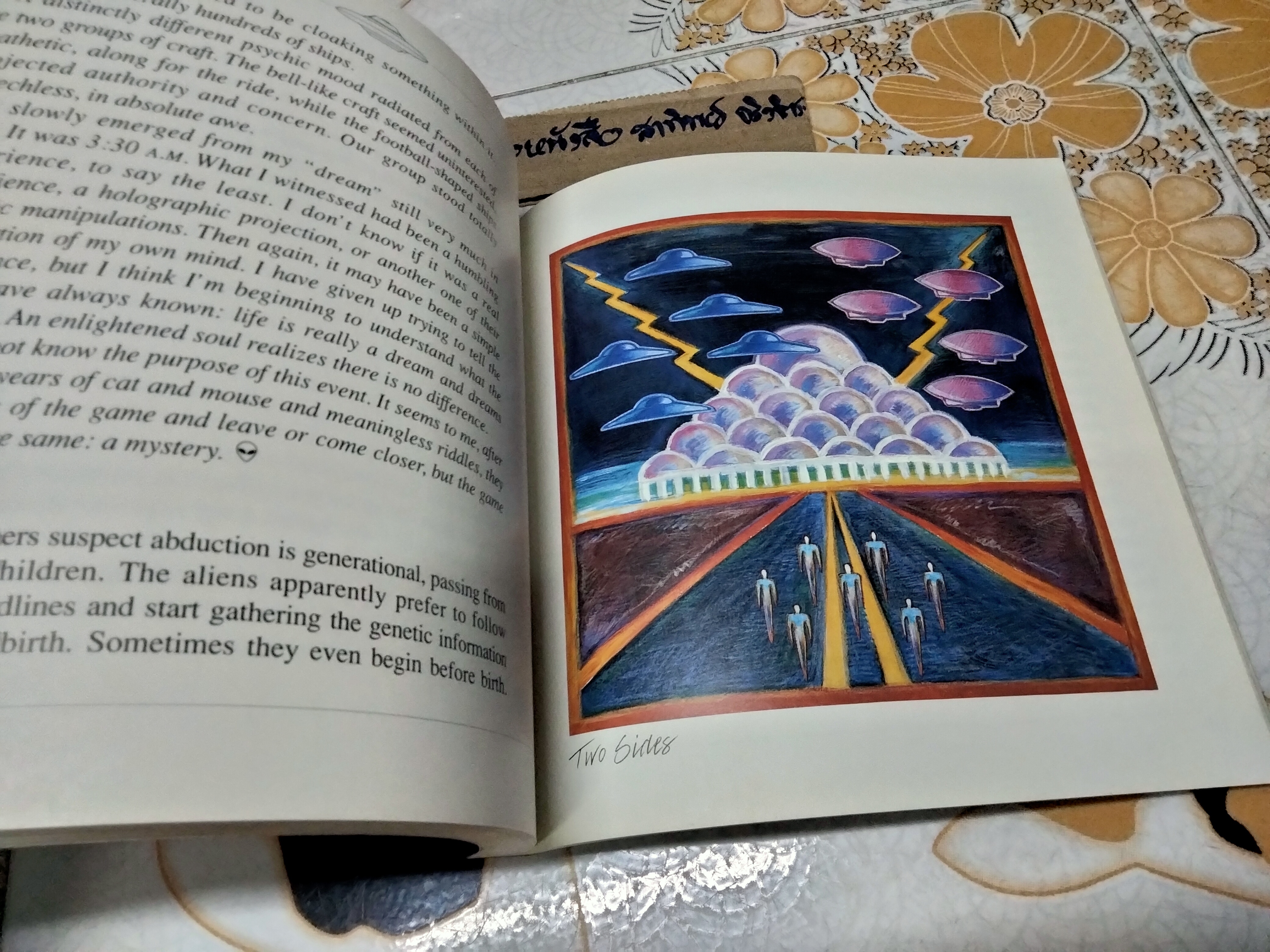 Beyond My Wildest Dreams : Diary of a UFO Abductee Kim Carlsberg , 1995