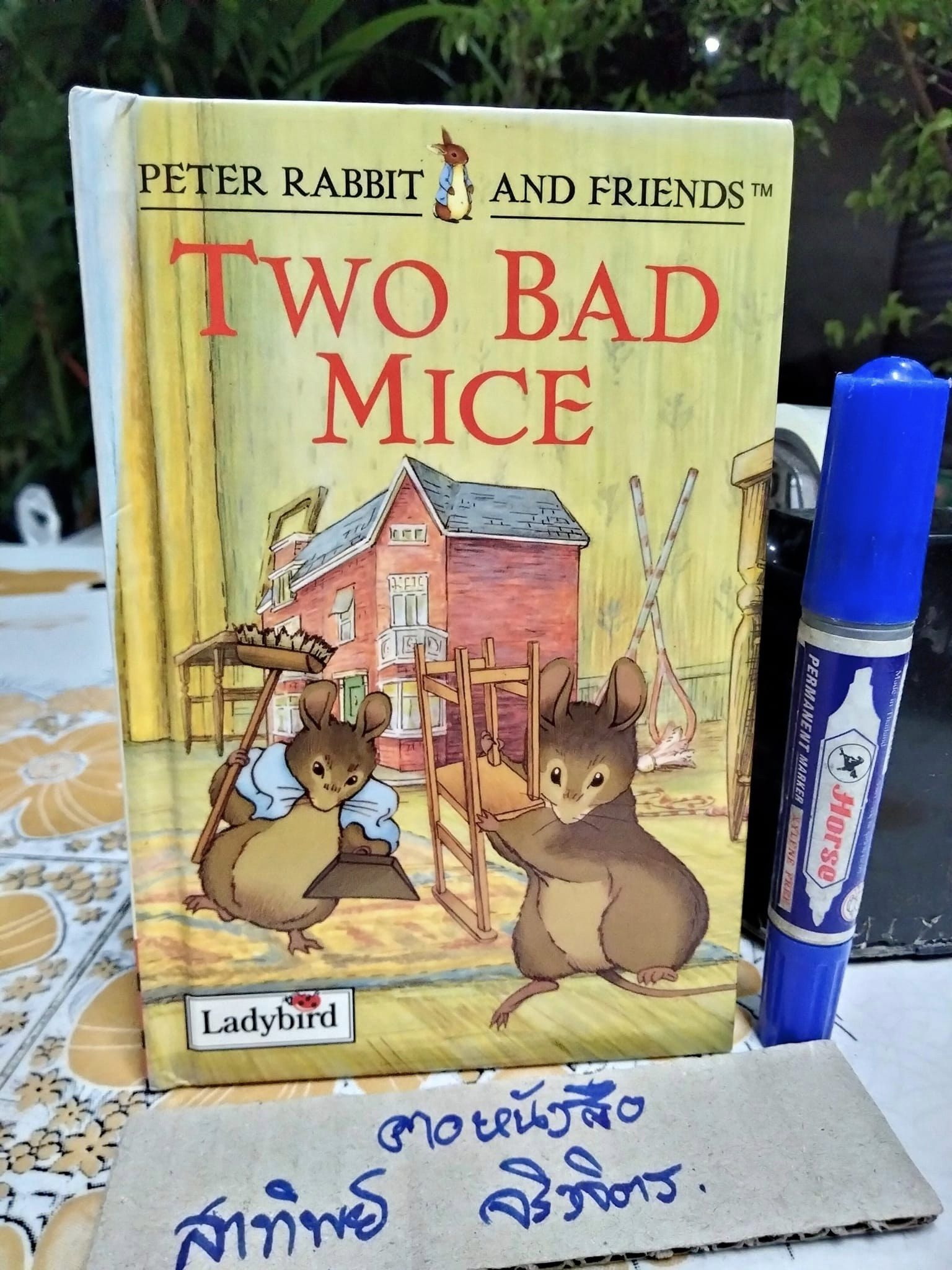 Two Bad Mice, Peter Rabbit and Friends, Ladybird Books Ltd.,