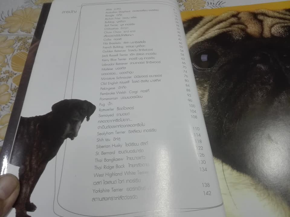 DOGS IN THE BOOK - 32 หมา...ที่คนอยากอวด