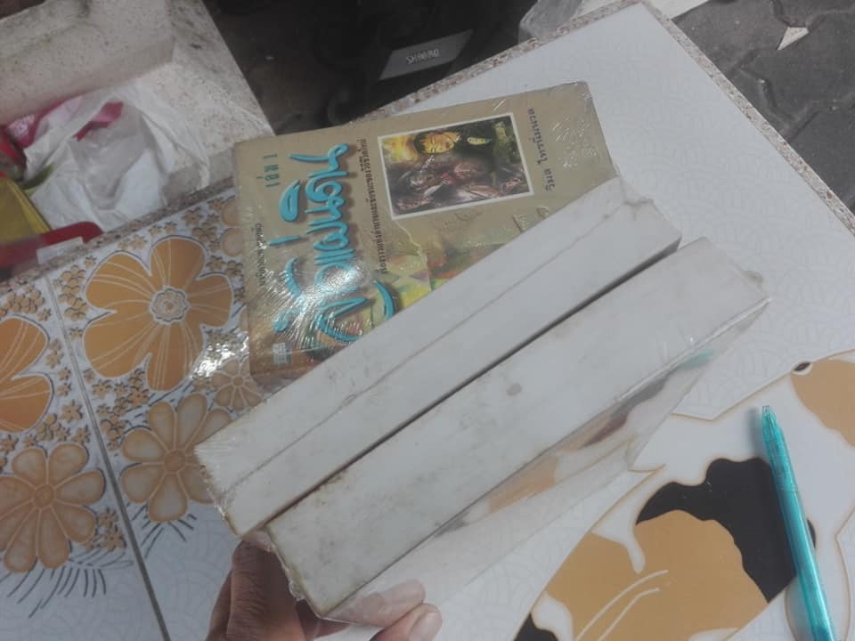 จ้าวแผ่นดิน (2 เล่มจบ) โดย วิมล ไทรนิ่มนวล