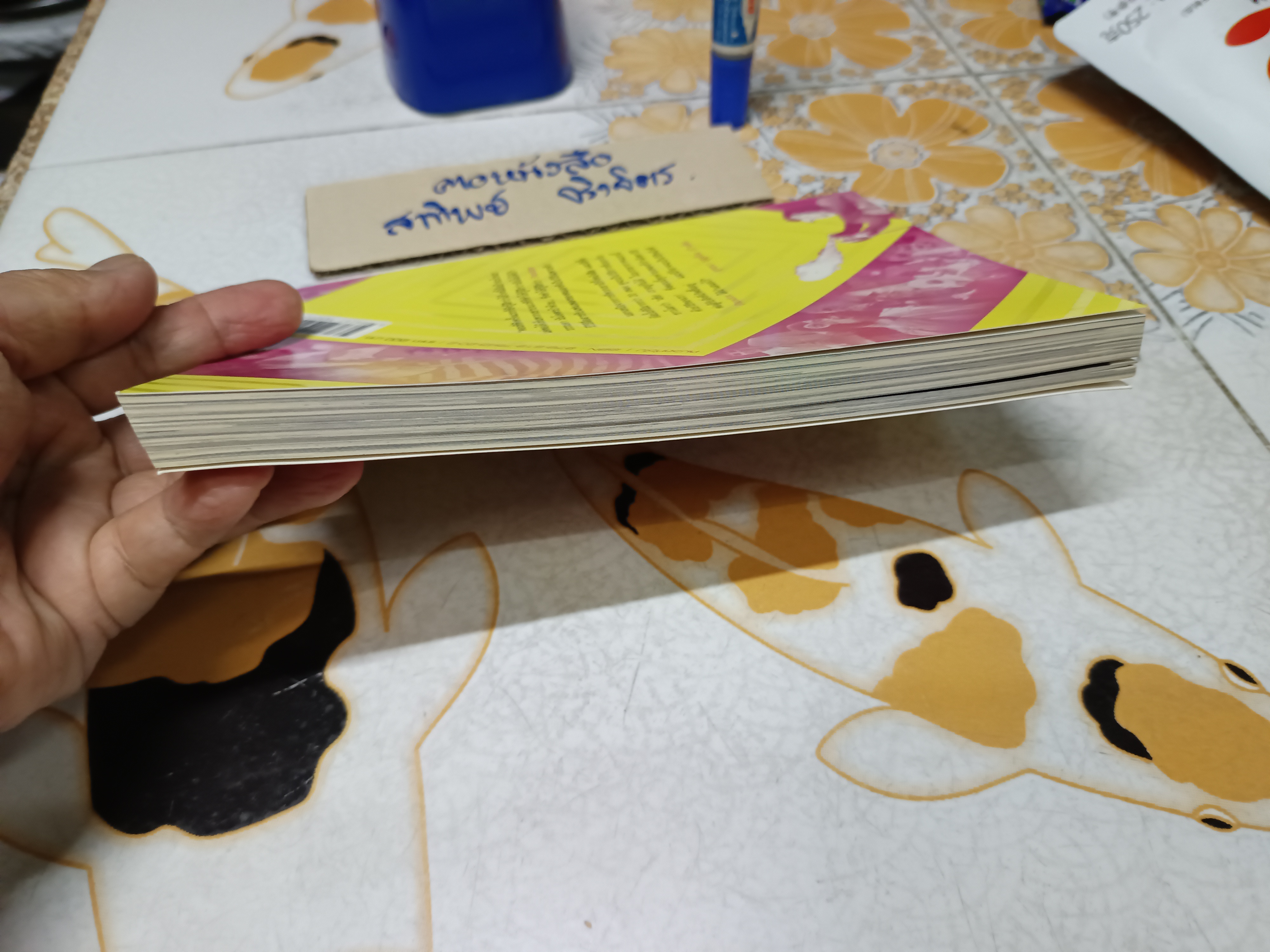 บันทึกลึกลับ พาราด็อกซ์ เอ็กซ์ - ปกใหม่ (10 Years After Paradox) ต้า พาราด็อกซ์ เขียน **สินค้าหมด**