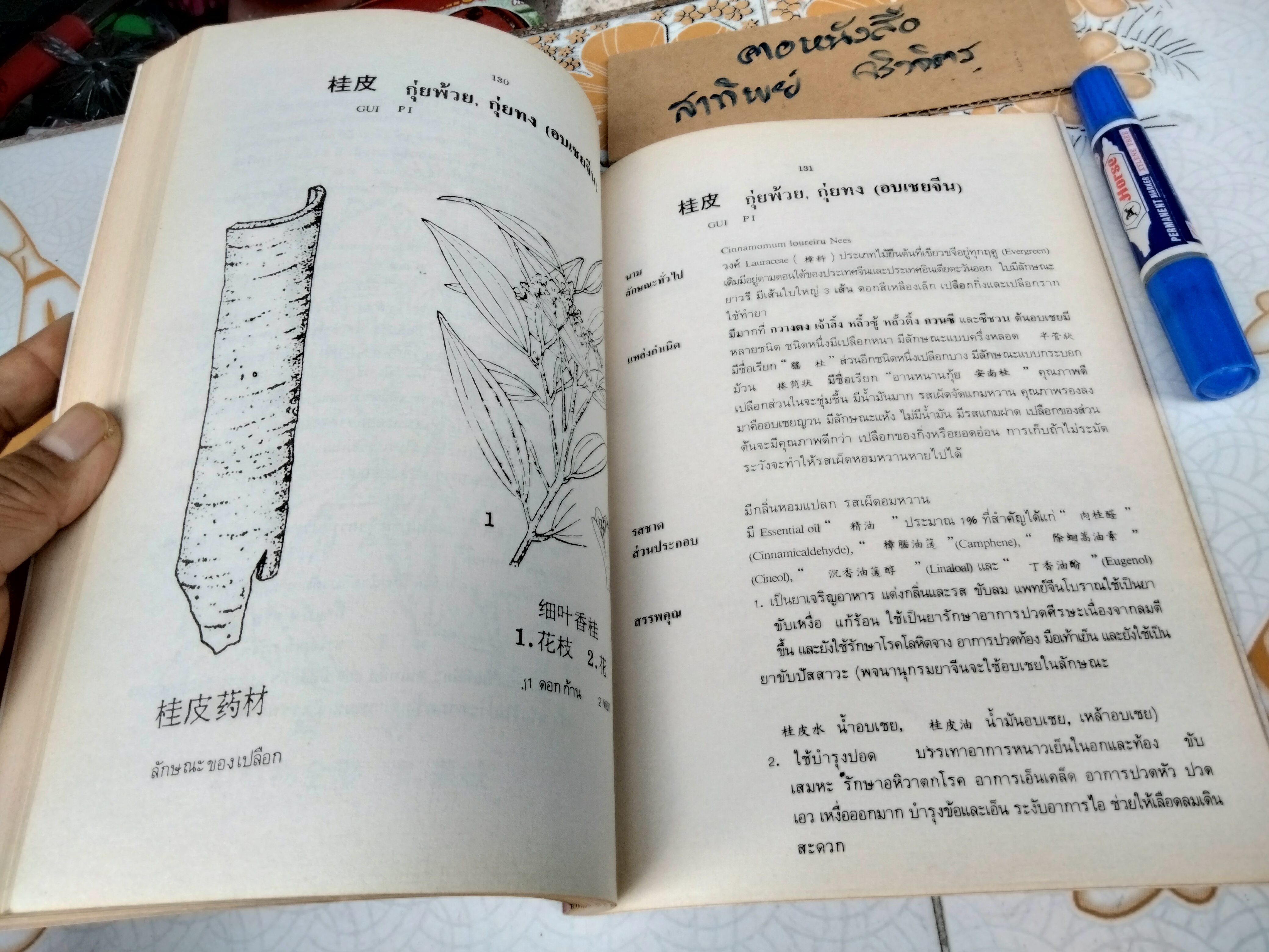 สมุนไพรจีน - รวบรวมเรียบเรียงและจัดพิมพ์ โดย นายเจนกิจ เวชพงศา **สินค้าหมด**