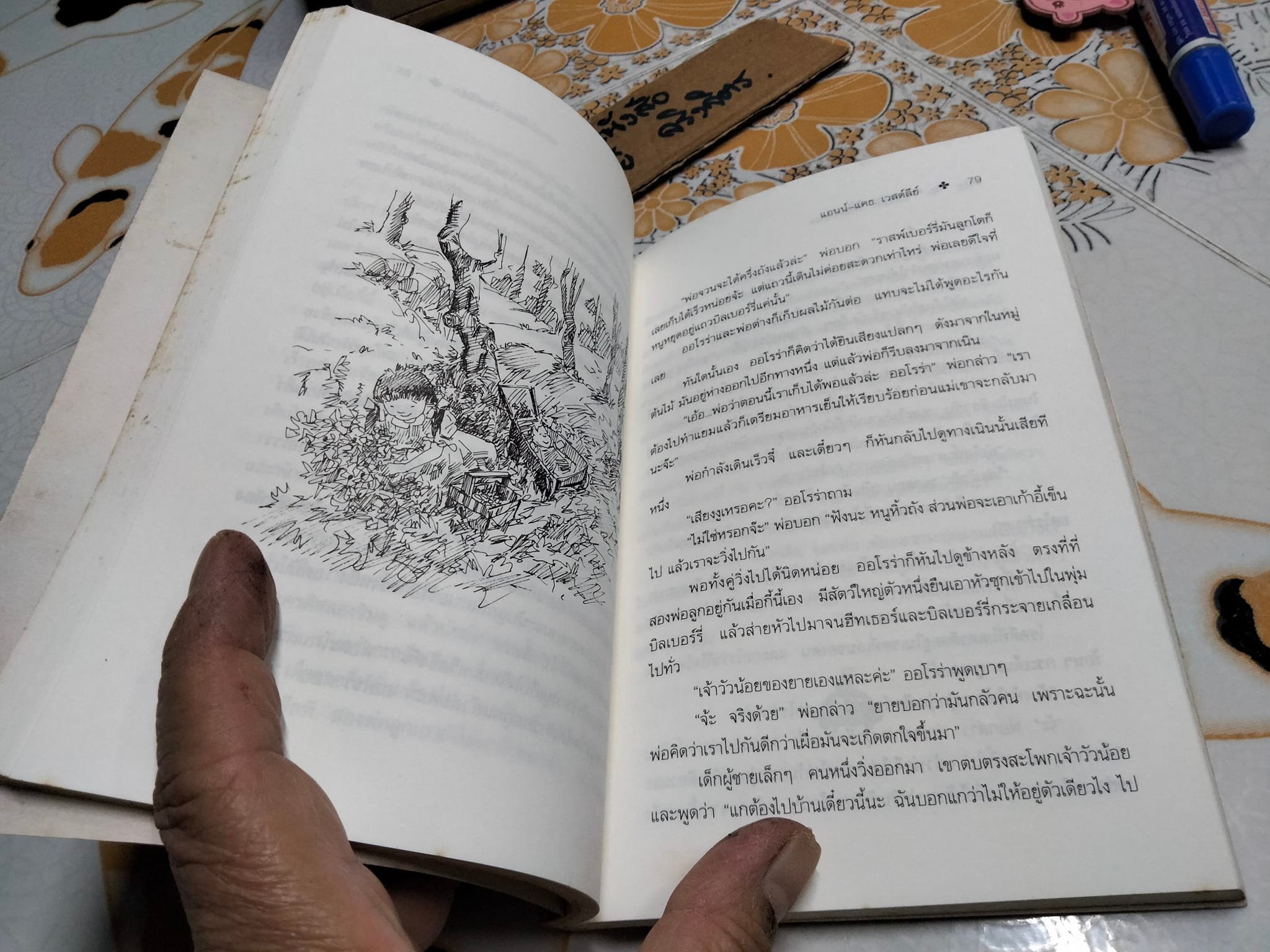 ครอบครัวรถสีฟ้า Aurora and the Little Blue Car - Anne . Cath. Vestly เขียน - อ้อยควั่น แปล **สินค้าหมด**