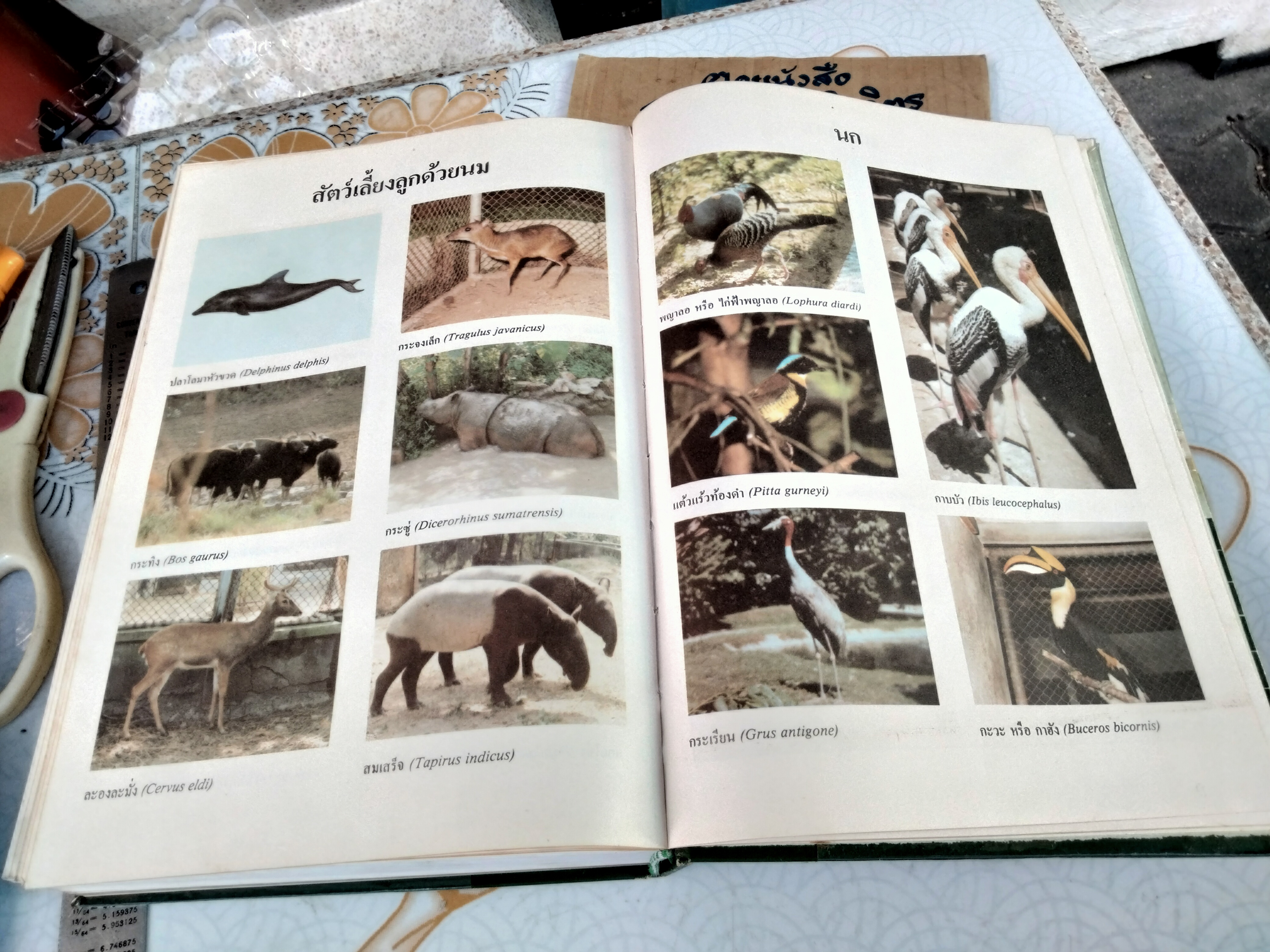 พจนานุกรม ฉบับราชบัณฑิตยสถาน พ.ศ. 2525 - พิมพ์ครั้งที่ 4/2531