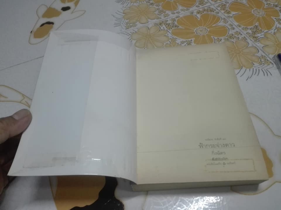 ฟ้ากระจ่างดาว (เล่มเดียวจบ) โดย กิ่งฉัตร