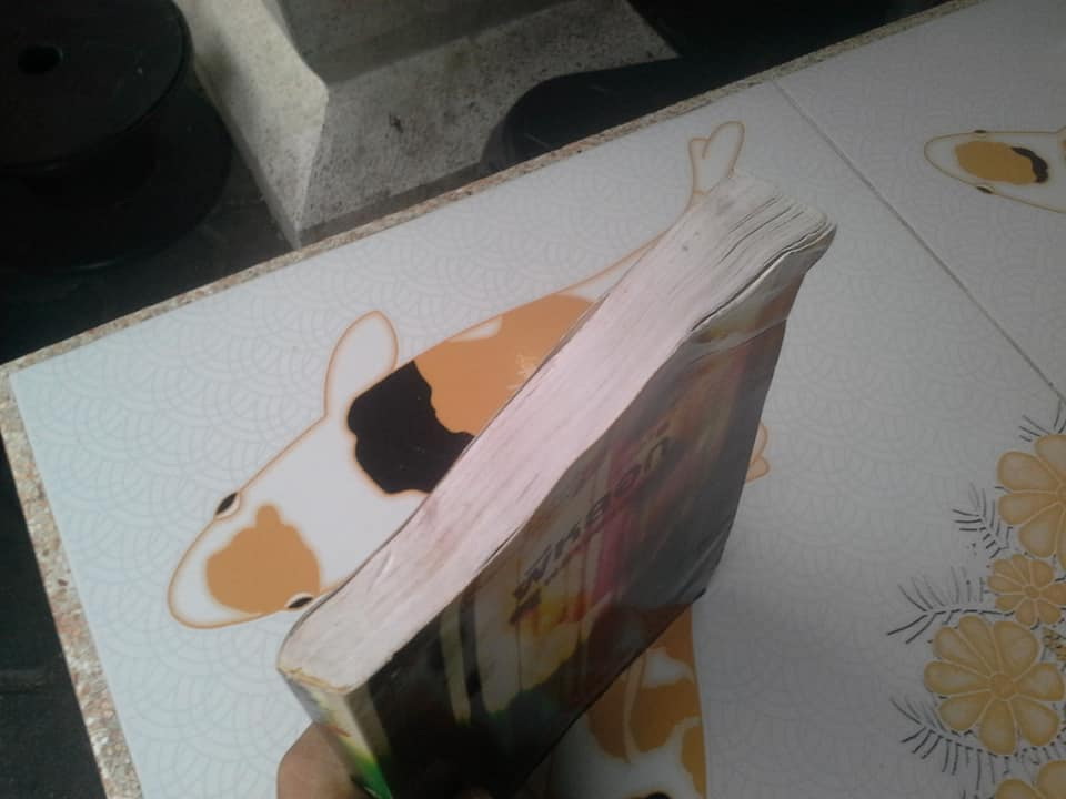 ผีหลอก (อำพรางอำยวน) โดย สรจักร (หนังสือโดนน้ำ) **สินค้าหมด**