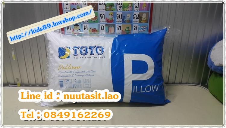 หมอนหนุน TOTO