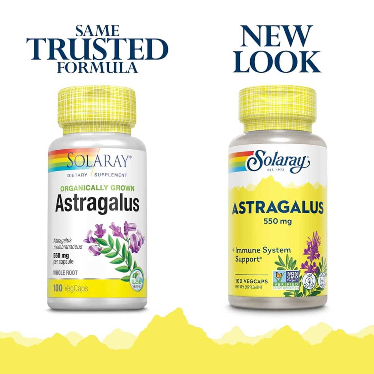 (Pre Order) Solaray® Organically Grown Astragalus 550 mg 100 VegCaps