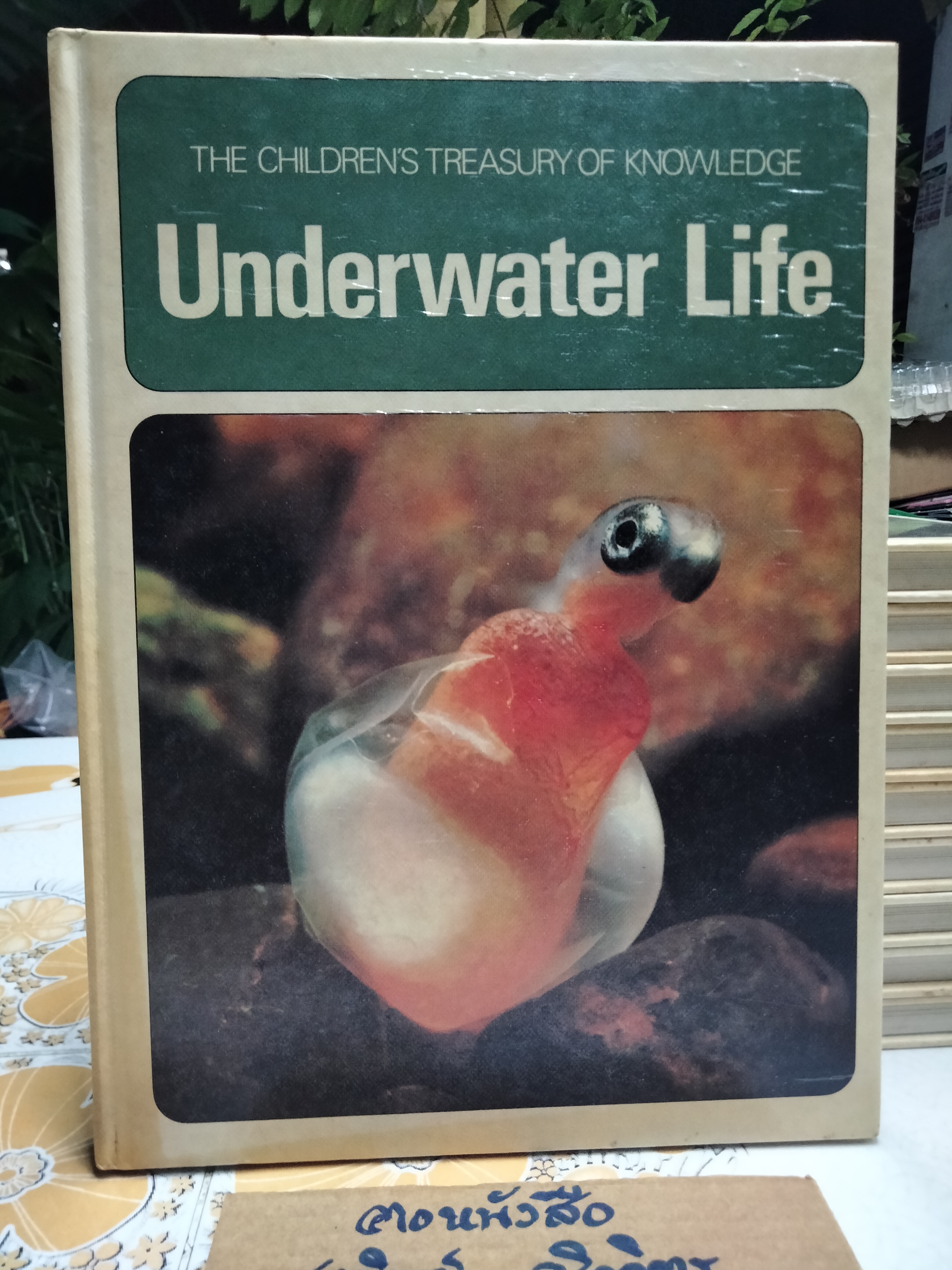 The Children's Treasurey of Knowledge (10 เล่มชุด)